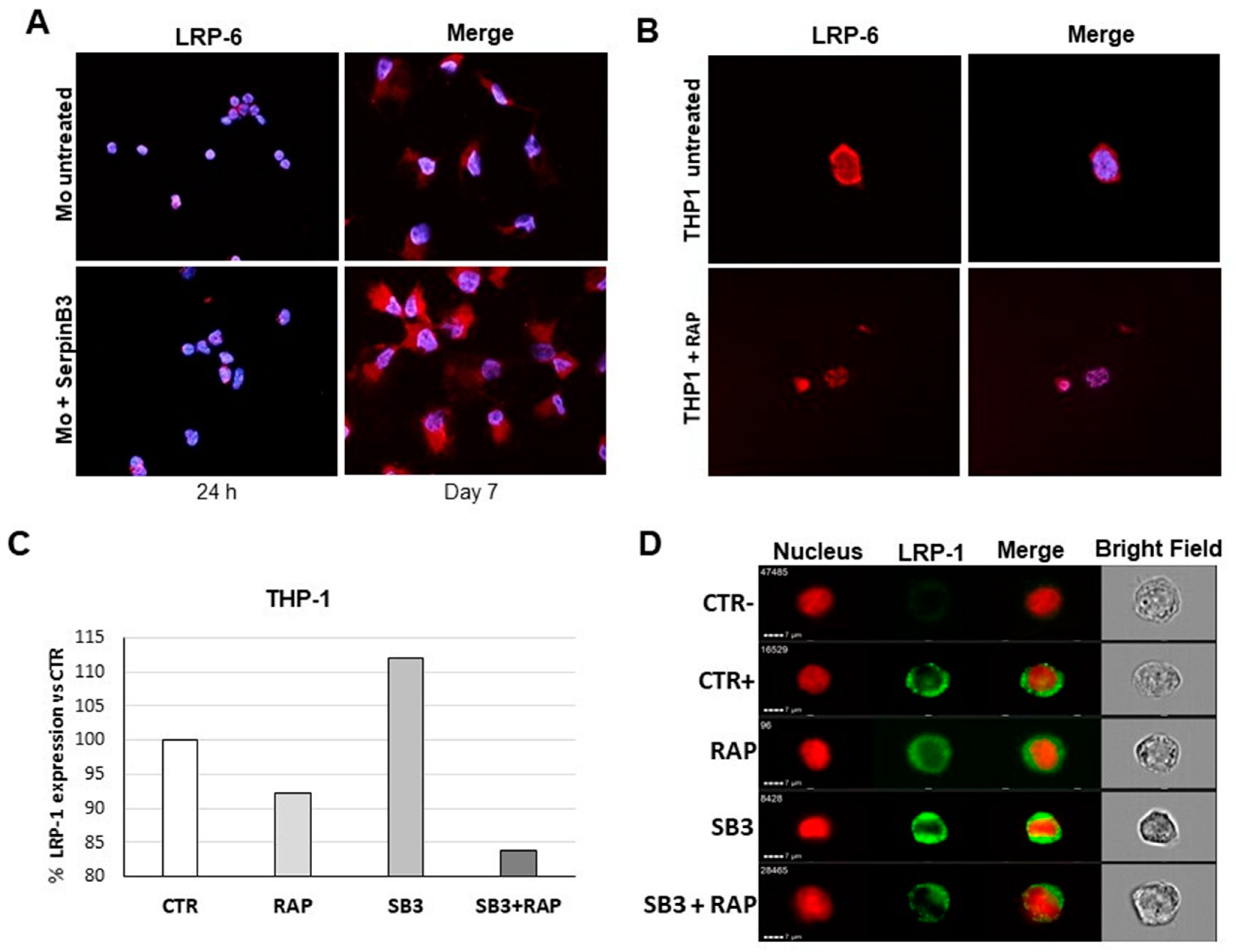 Biology 12 00771 g006 Biology 12 00771 g006
