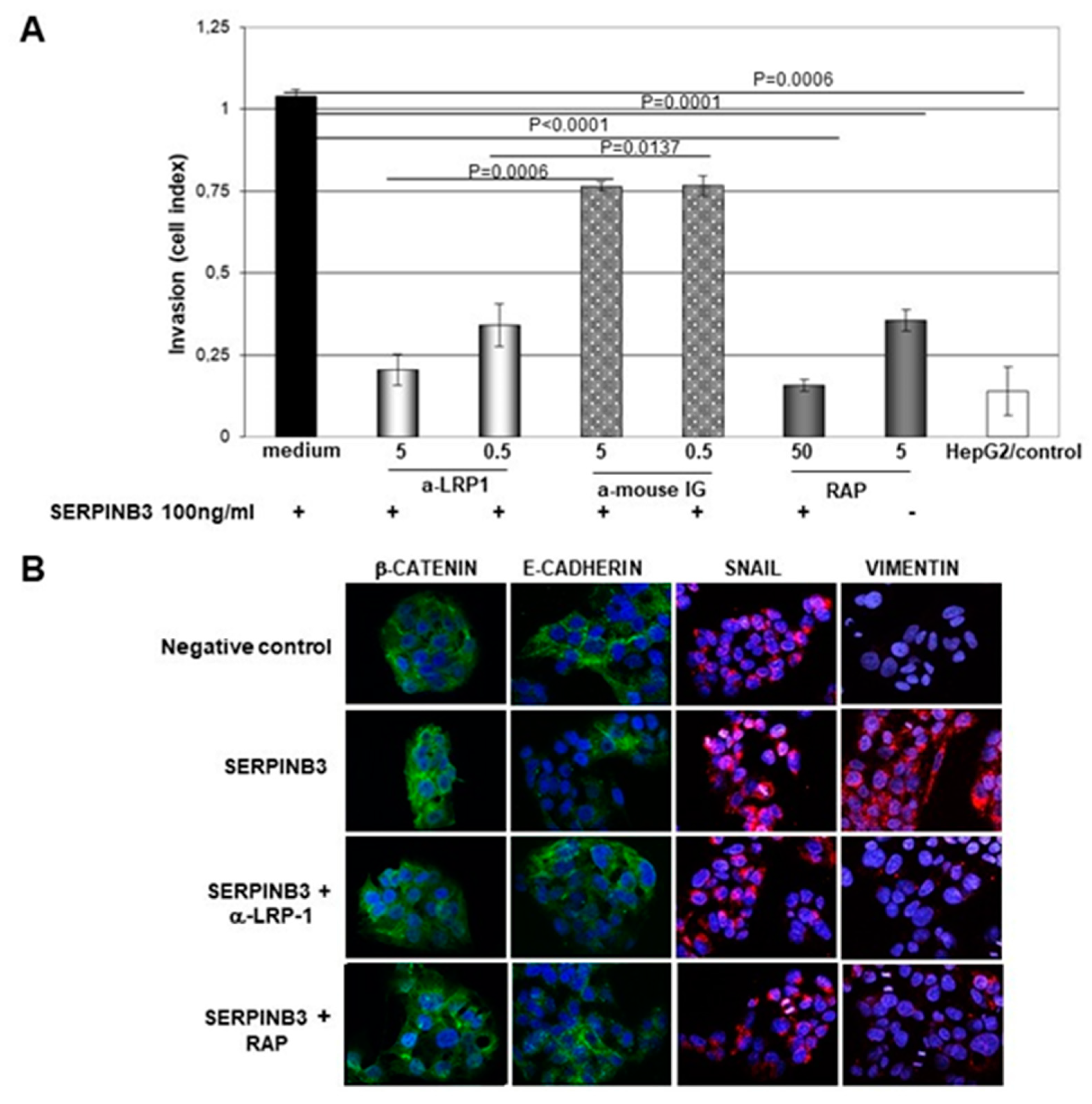 Biology 12 00771 g010 Biology 12 00771 g010