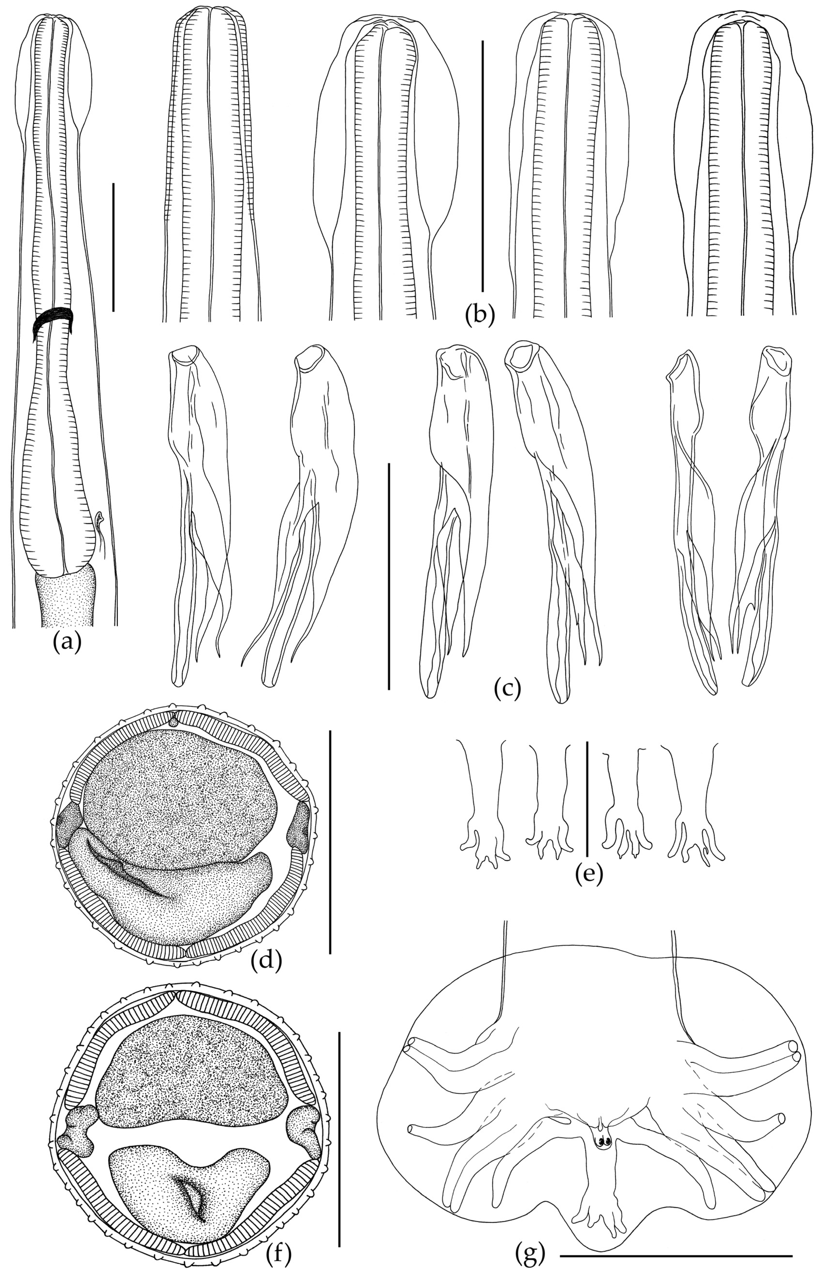 Biology 12 00772 g002 Biology 12 00772 g002
