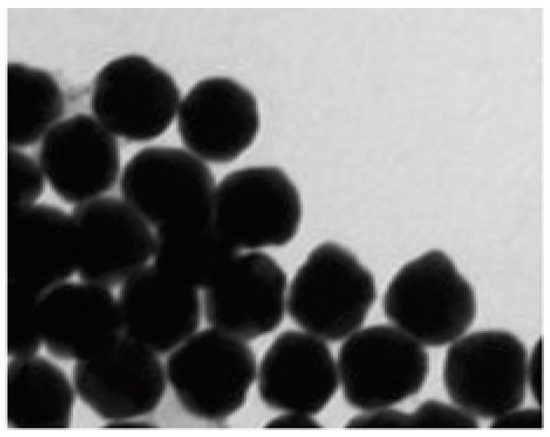 Gold Nanoparticles Inhibit PMA-Induced MMP-9 Expression via