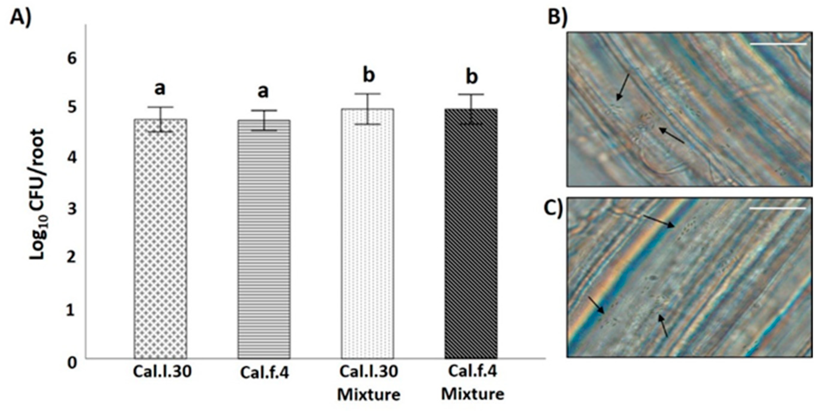 Biology 12 00779 g003