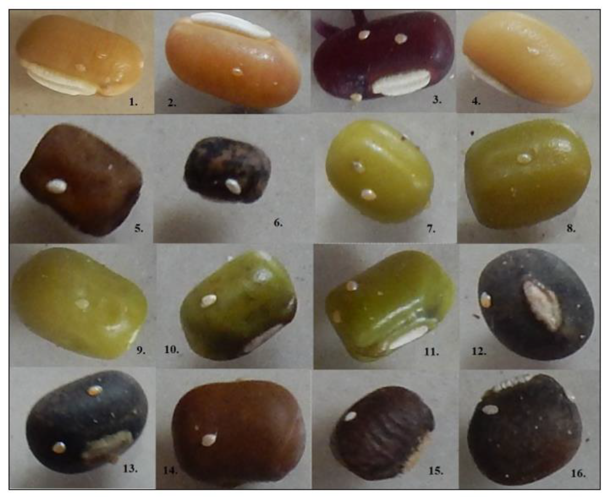 Biology 12 00781 g001 Biology 12 00781 g001