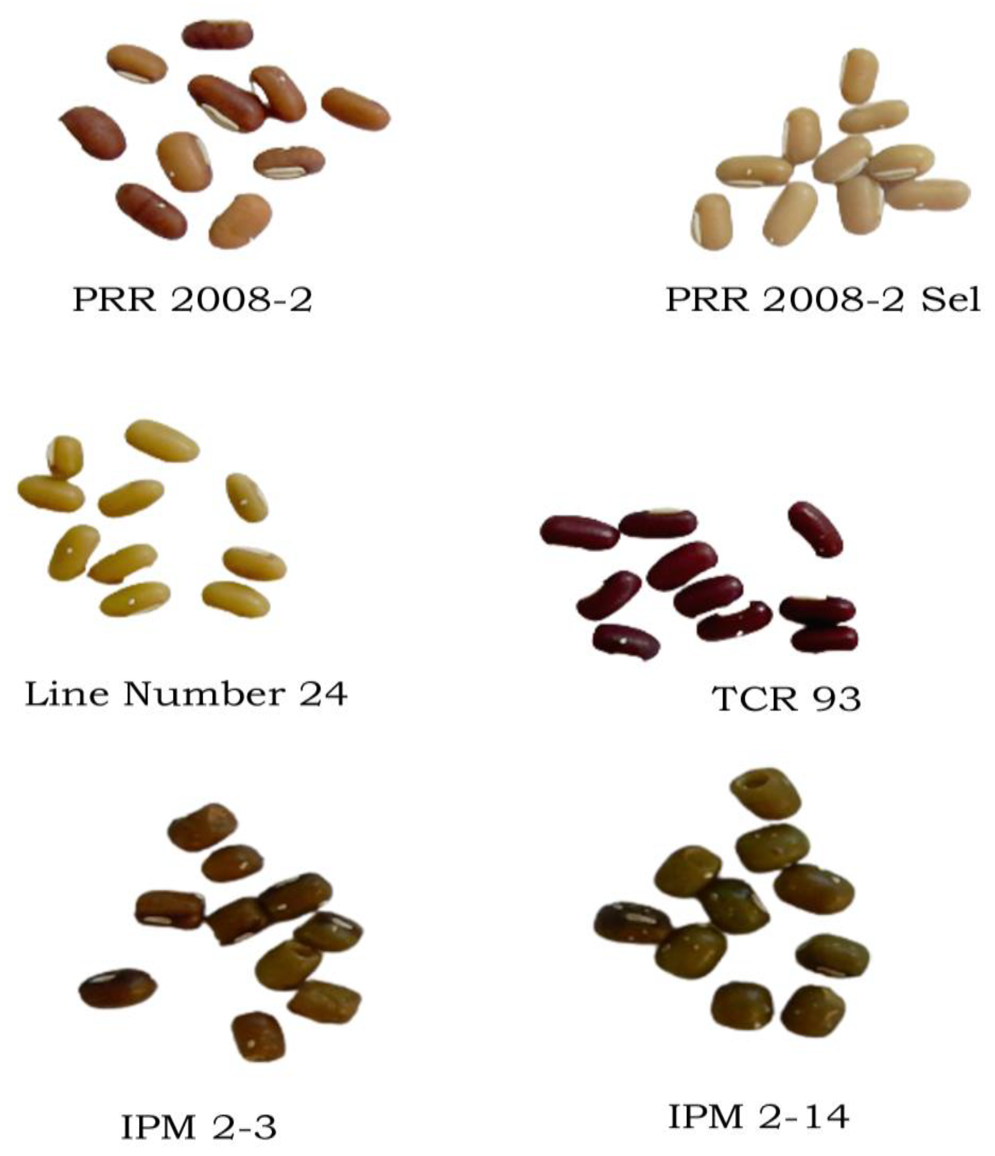 Biology 12 00781 g002 Biology 12 00781 g002