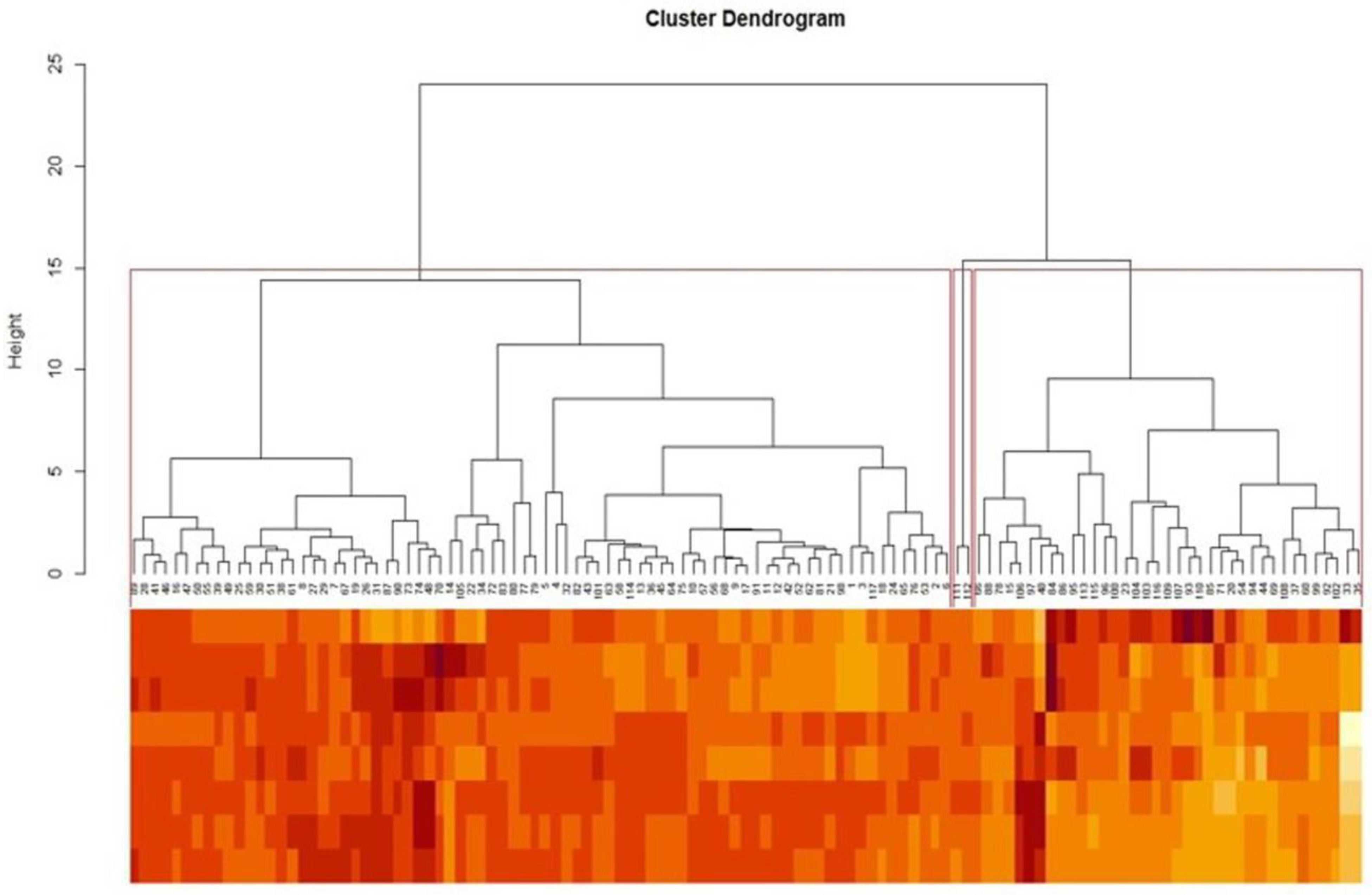 Biology 12 00781 g006 Biology 12 00781 g006