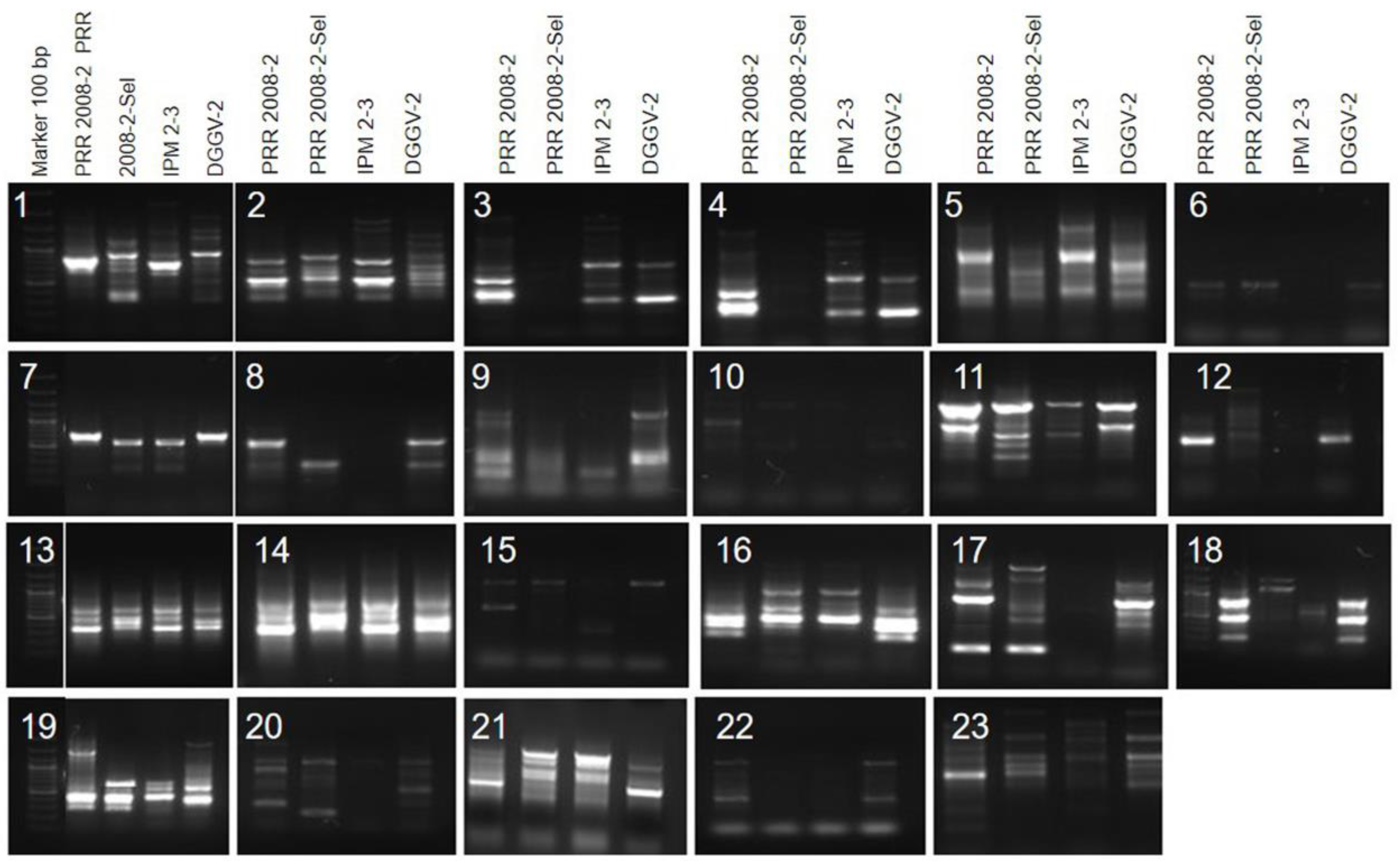 Biology 12 00781 g008 Biology 12 00781 g008
