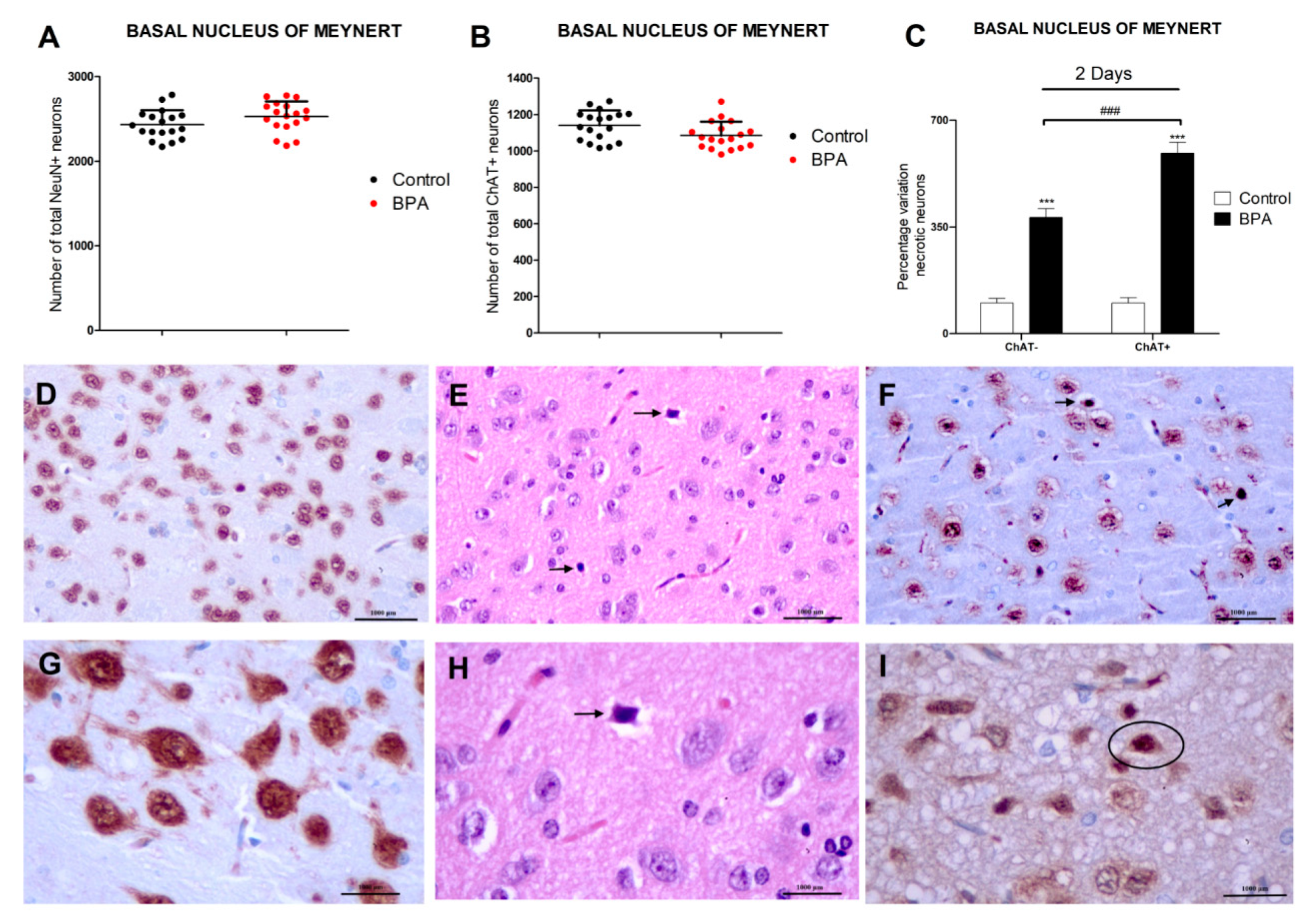 Biology 12 00782 g001 Biology 12 00782 g001