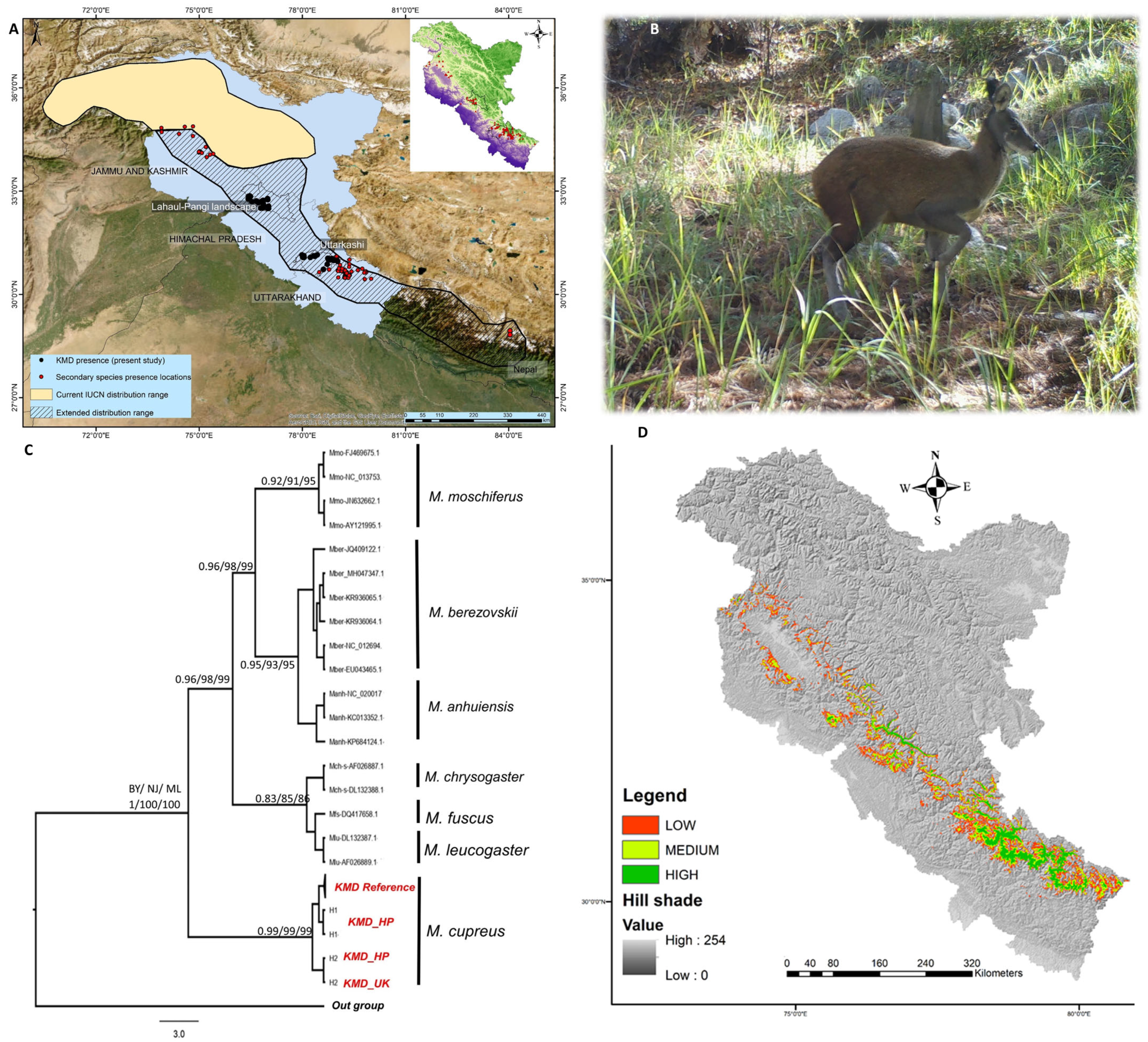 Biology 12 00786 g002 Biology 12 00786 g002