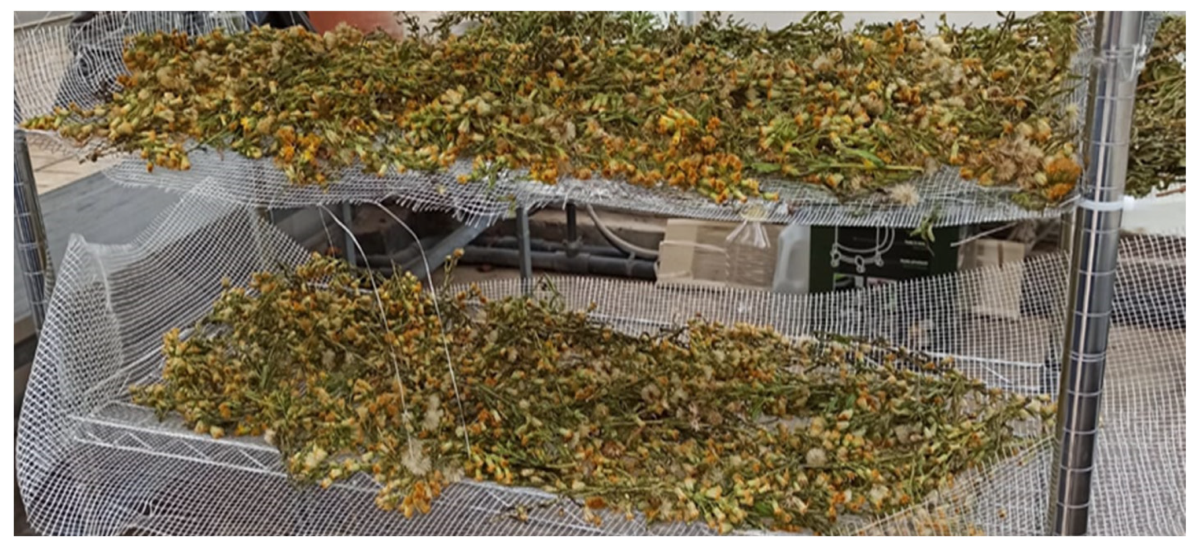 Biology 12 00790 g002 Biology 12 00790 g002