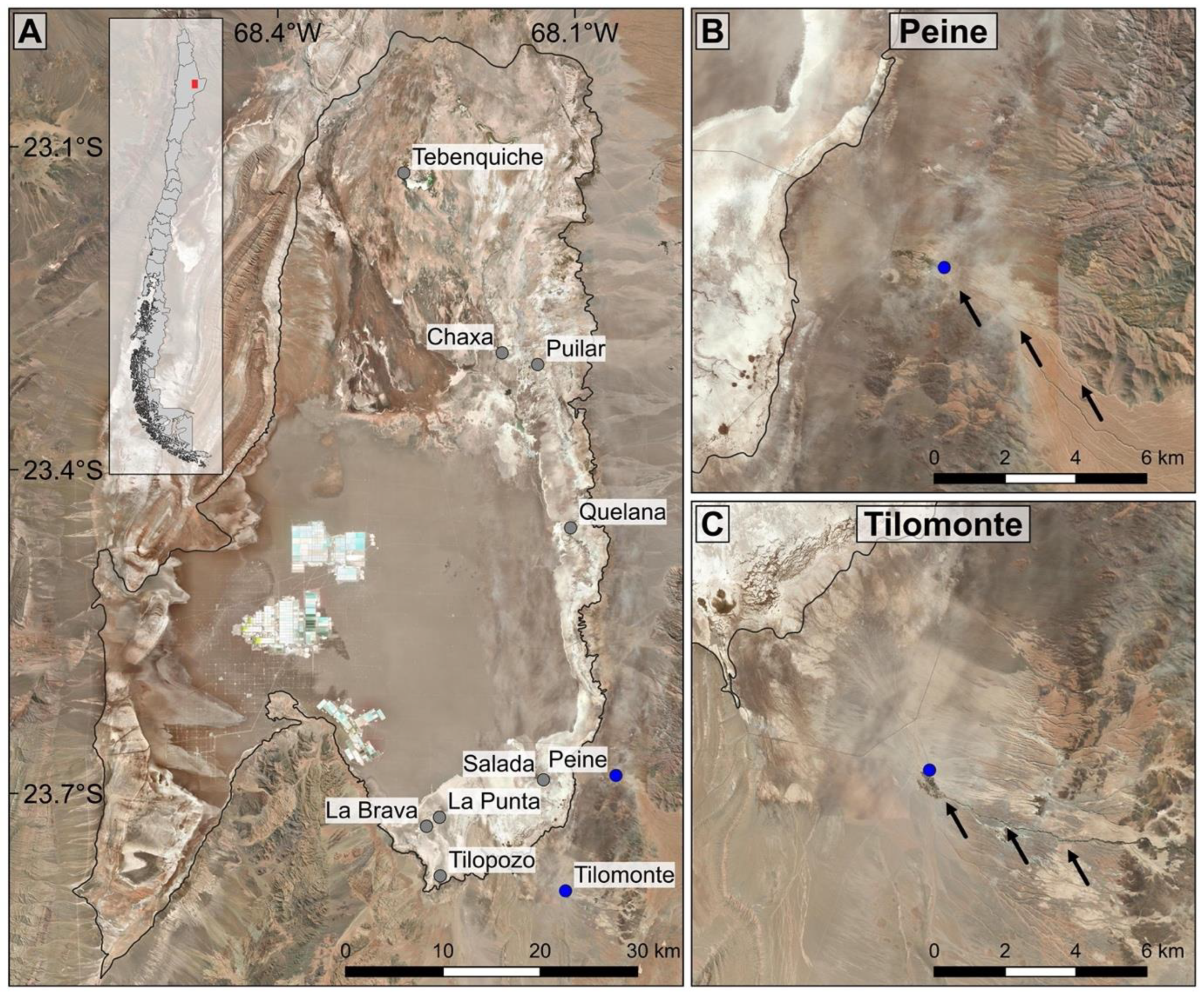 Biology 12 00791 g001 Biology 12 00791 g001