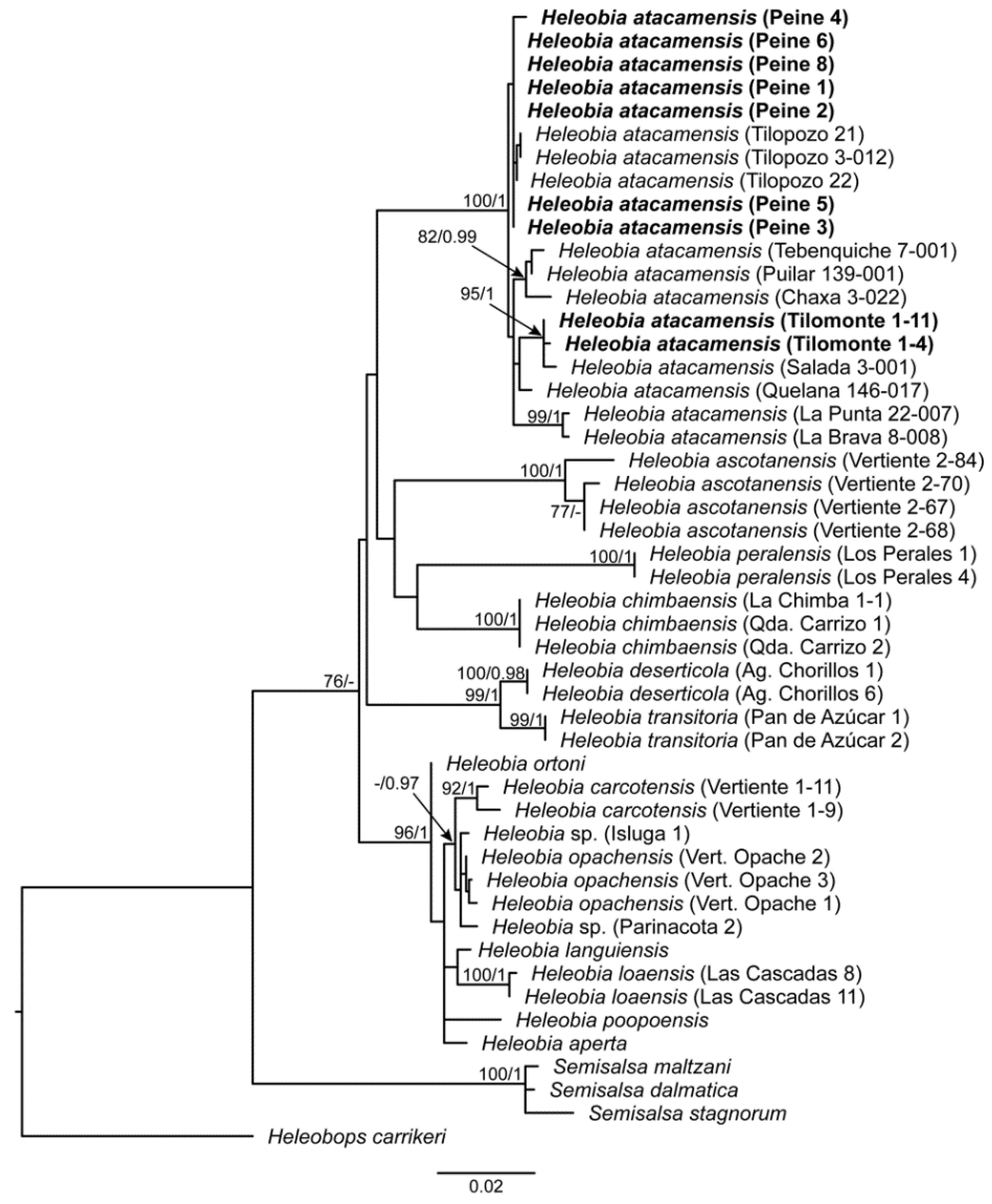 Biology 12 00791 g002 Biology 12 00791 g002