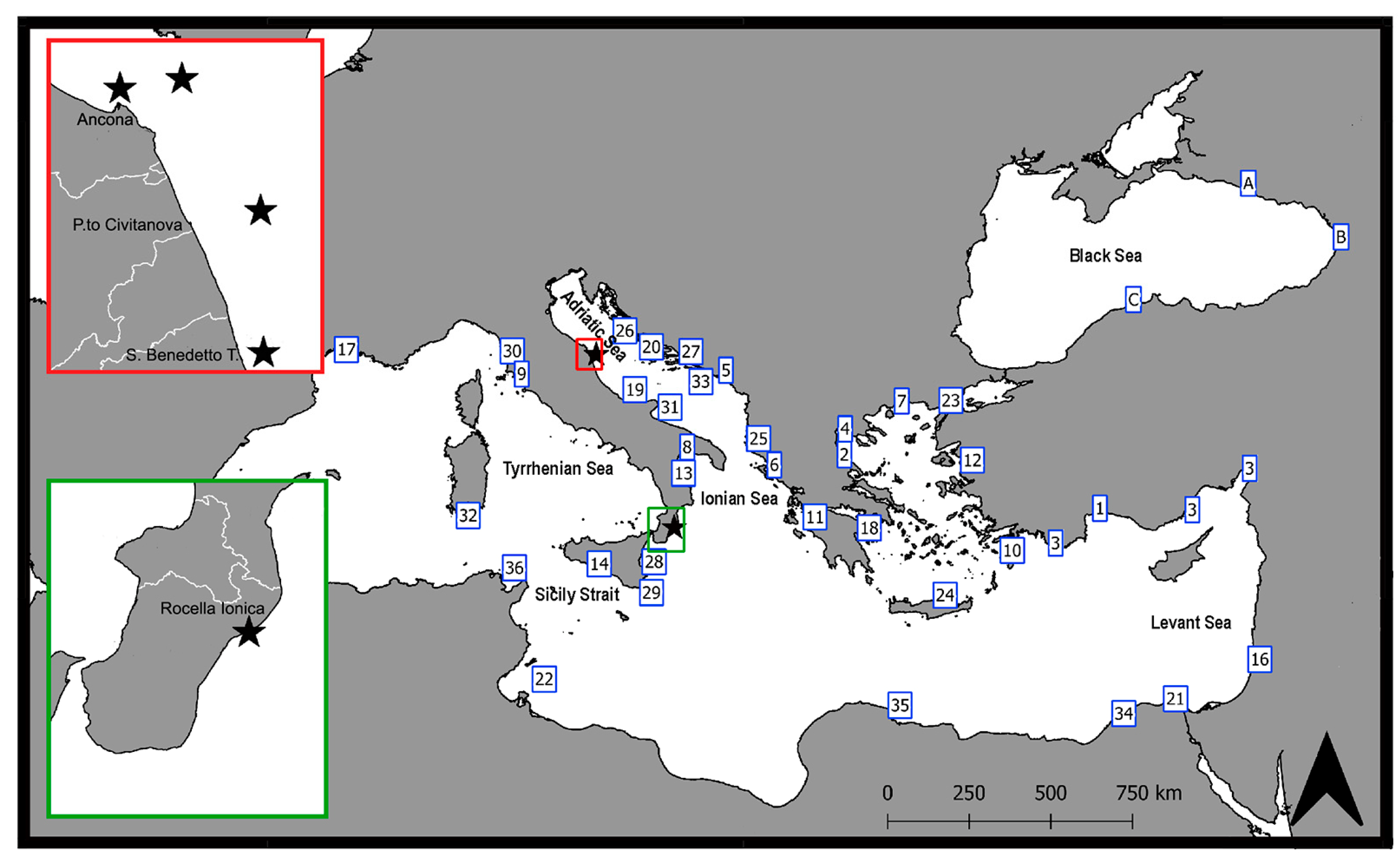 Biology 12 00793 g003 Biology 12 00793 g003
