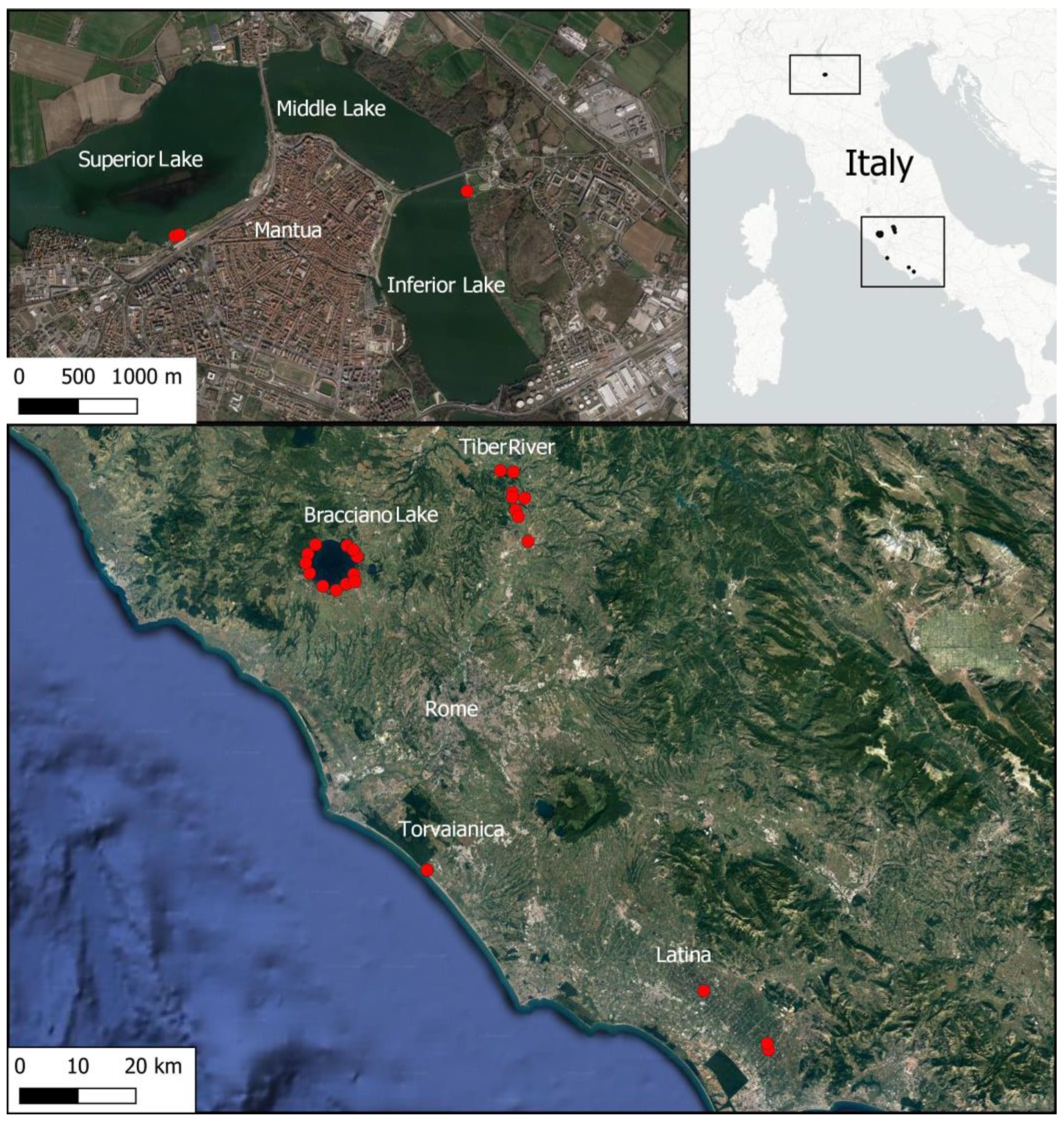 Biology 12 00794 g001 Biology 12 00794 g001