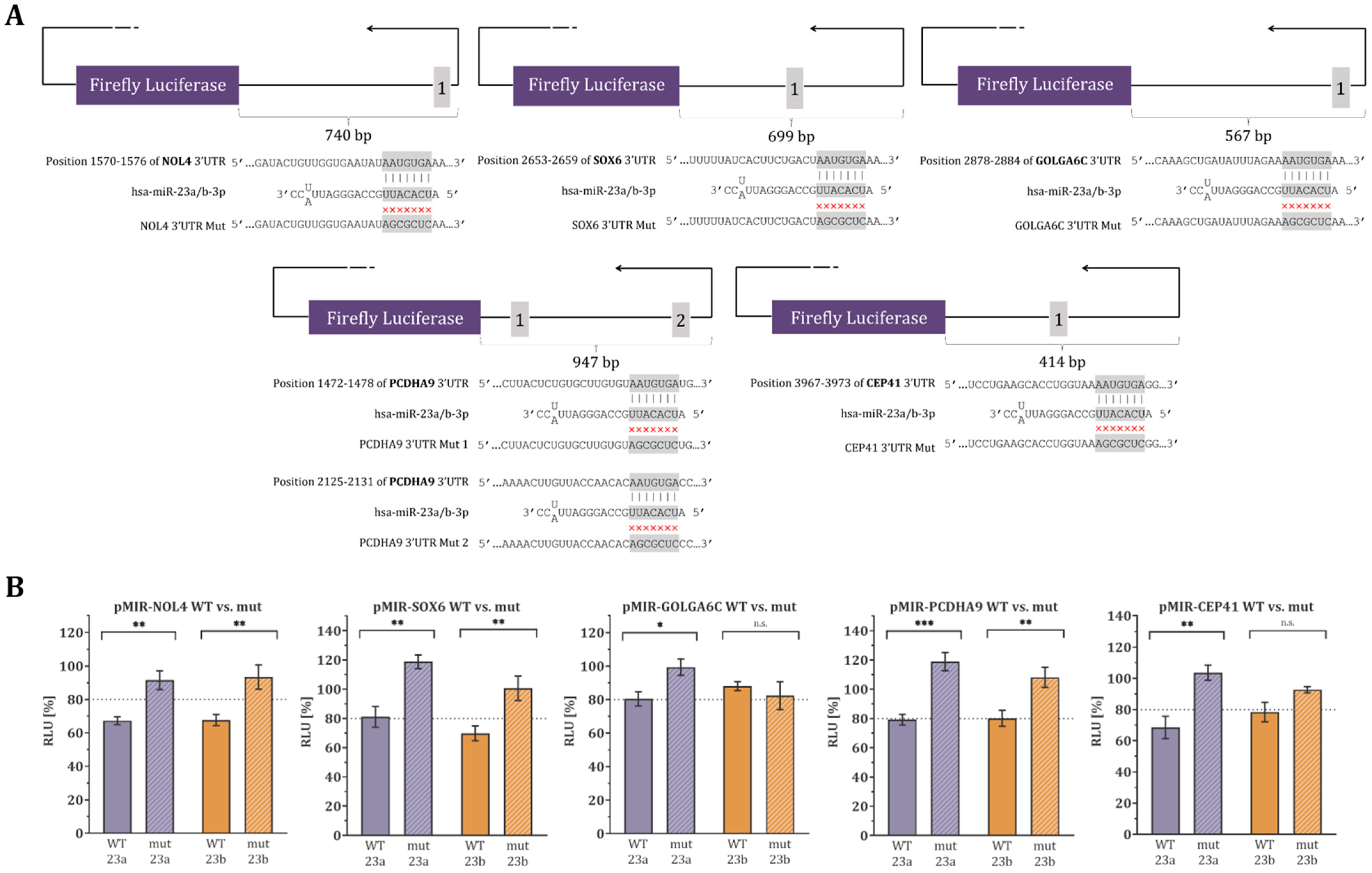 Biology 12 00800 g004 Biology 12 00800 g004