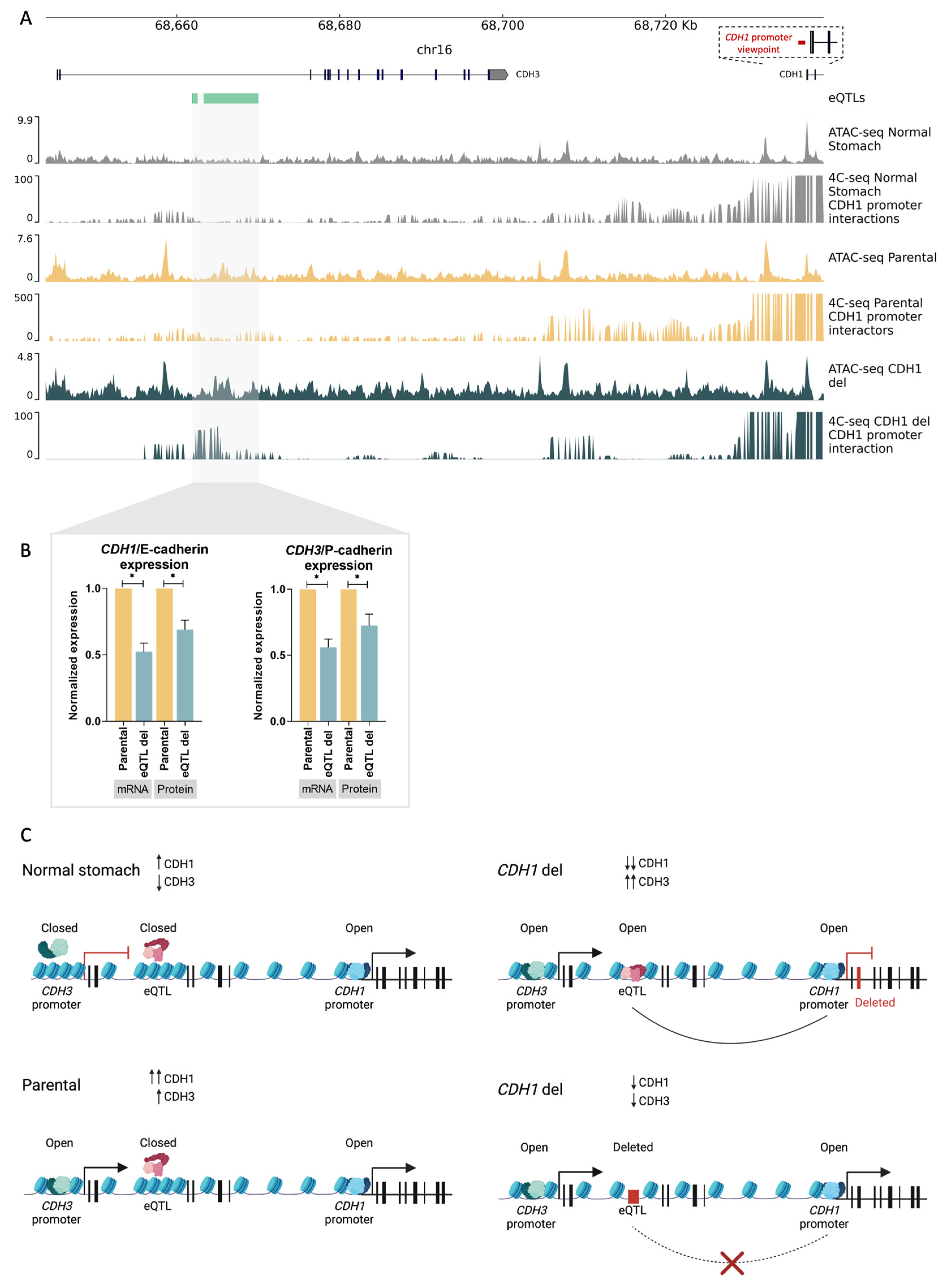 Biology 12 00803 g003 Biology 12 00803 g003