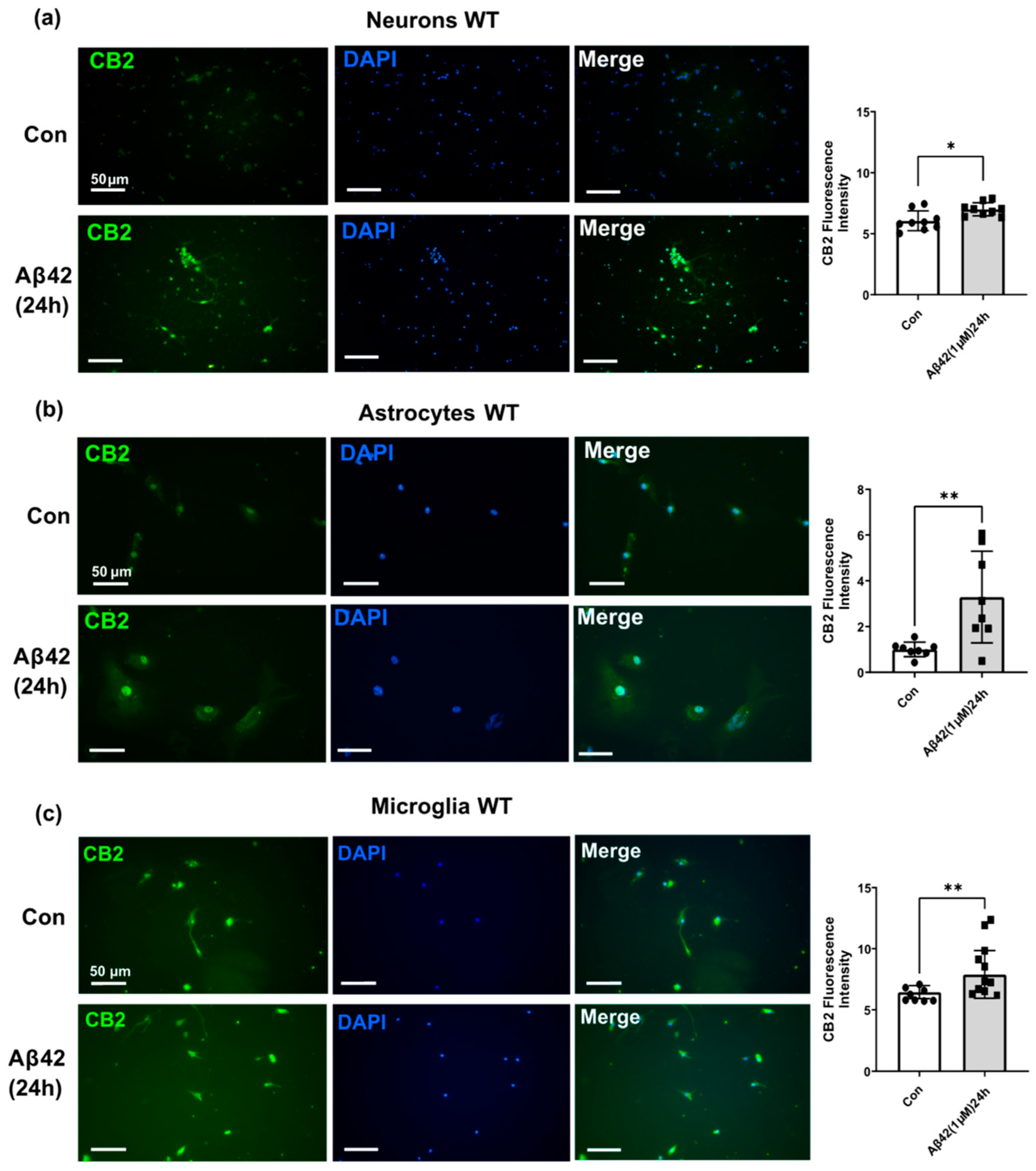 Biology 12 00805 g005 Biology 12 00805 g005