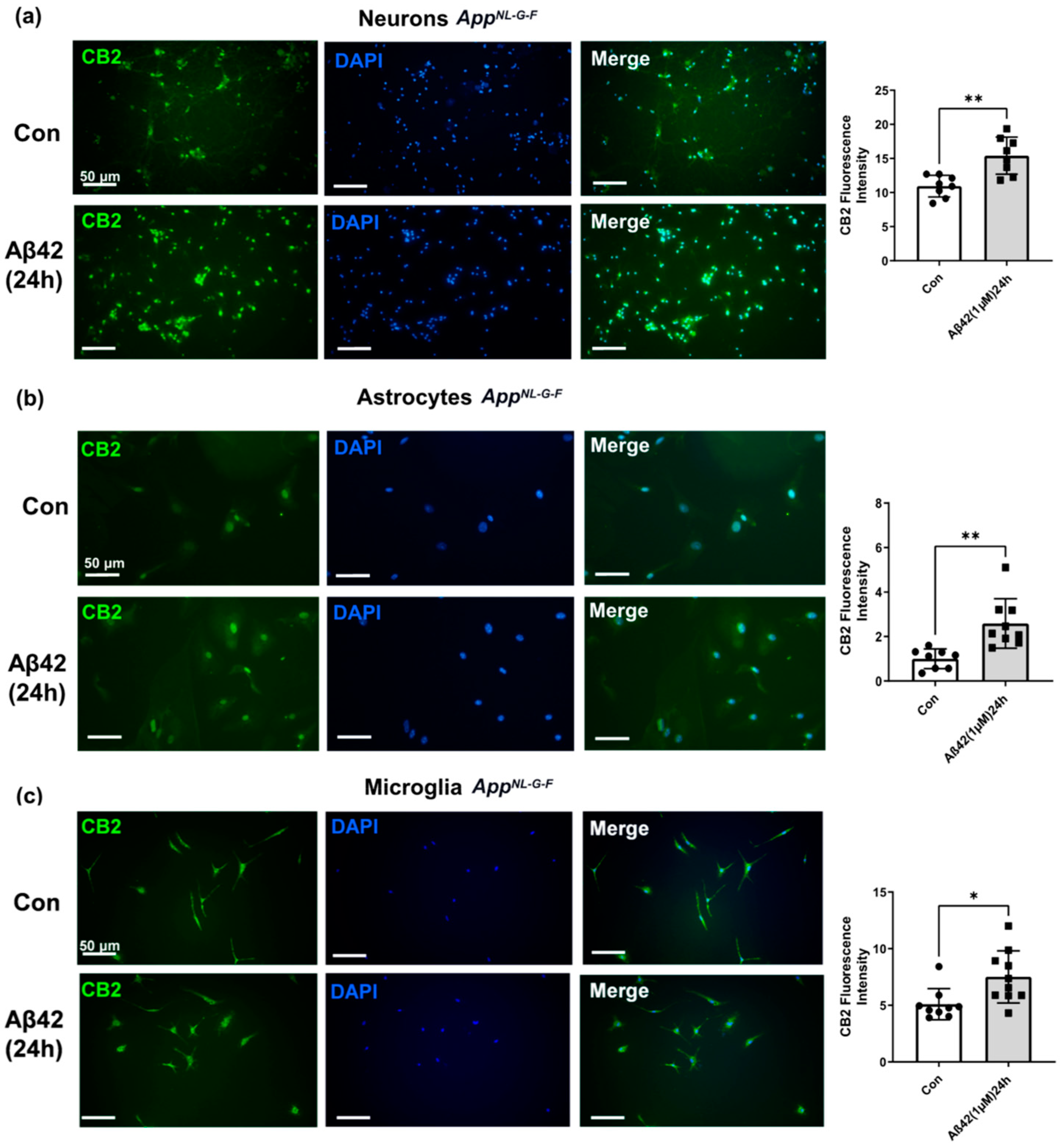 Biology 12 00805 g007 Biology 12 00805 g007