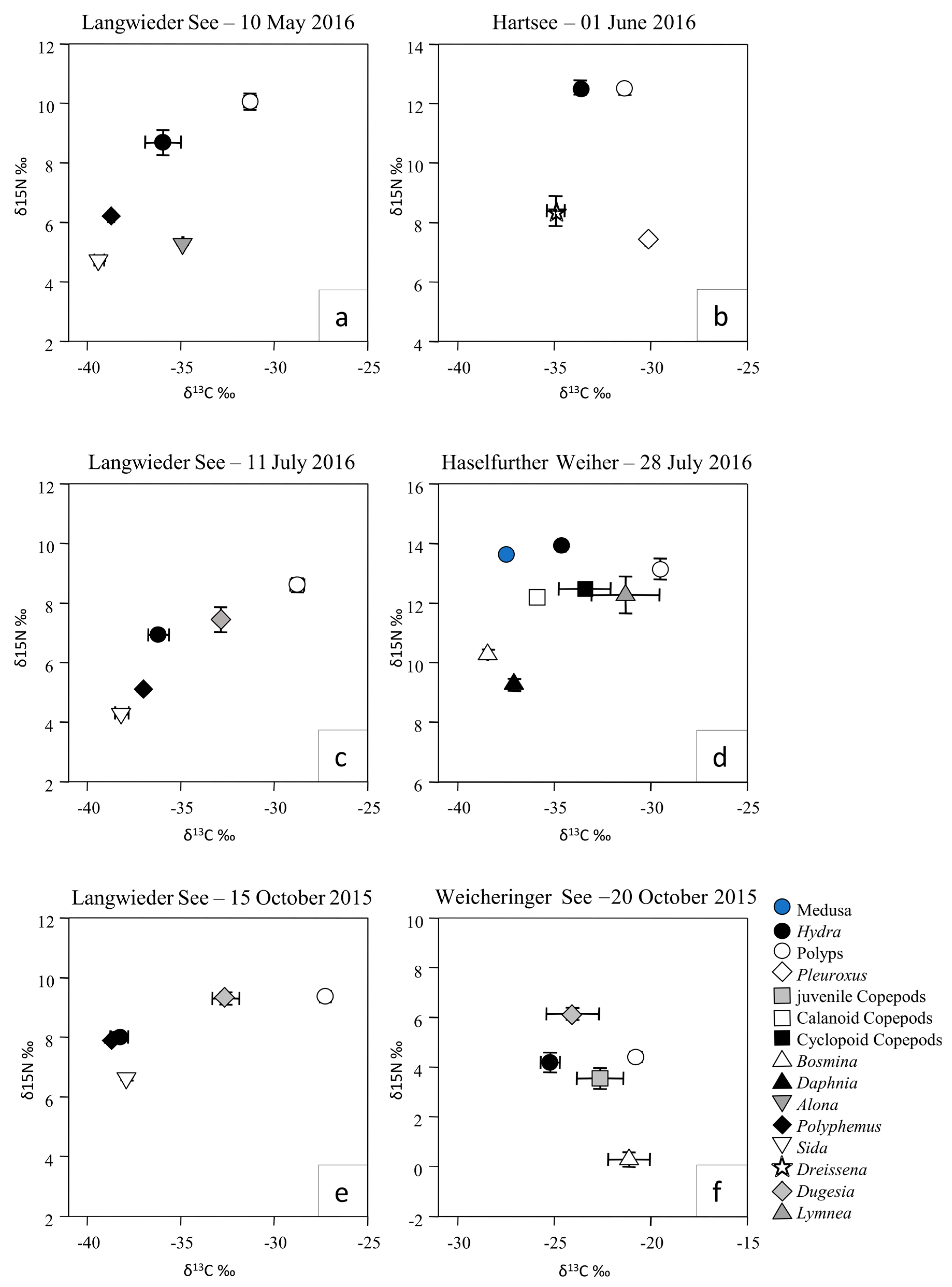 Biology Free Full-Text Trophic Positions of Polyp and Medusa Stages of the Freshwater Jellyfish Craspedacusta sowerbii Based on Stable Isotope Analysis