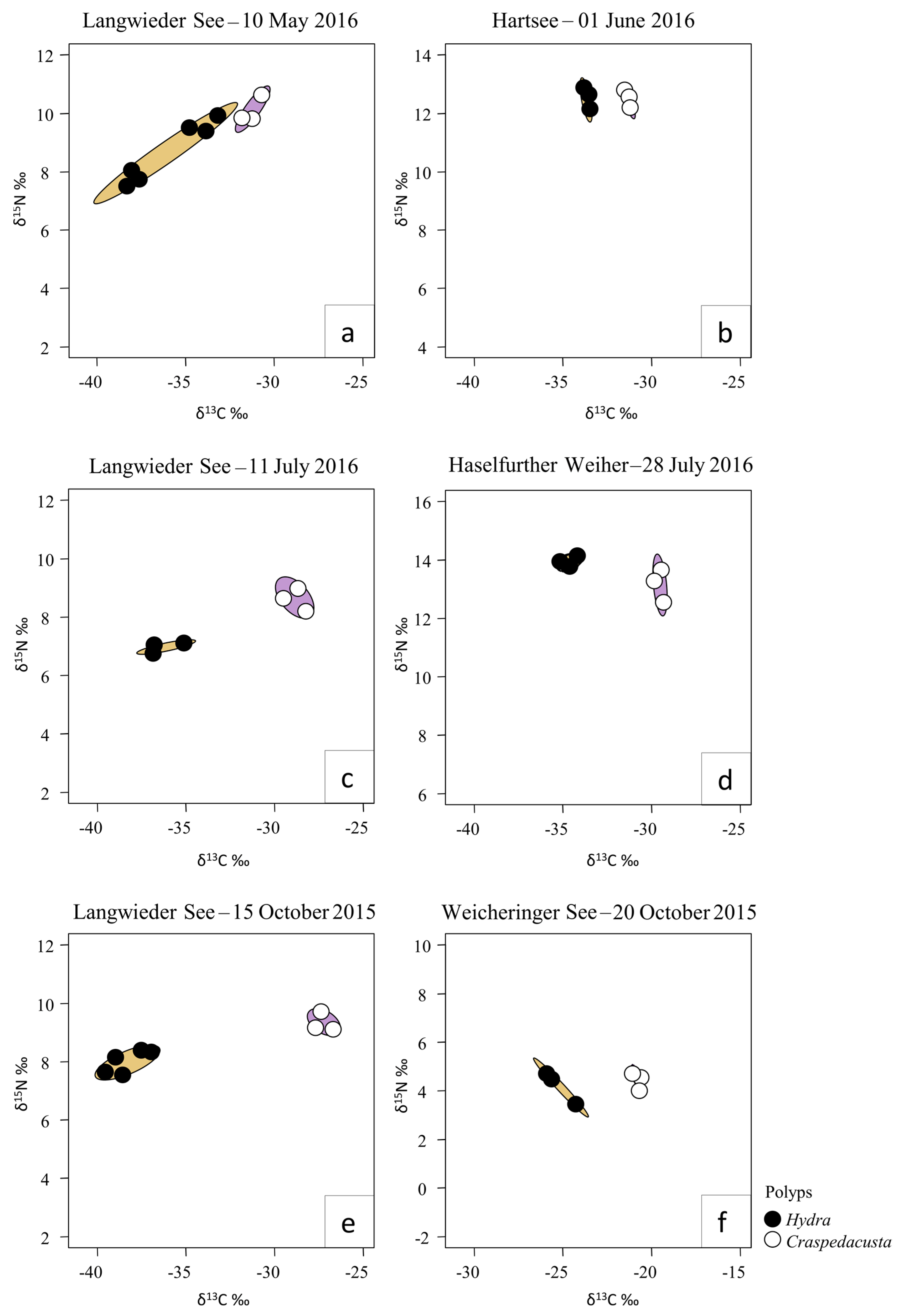 Biology Free Full-Text Trophic Positions of Polyp and Medusa Stages of the Freshwater Jellyfish Craspedacusta sowerbii Based on Stable Isotope Analysis