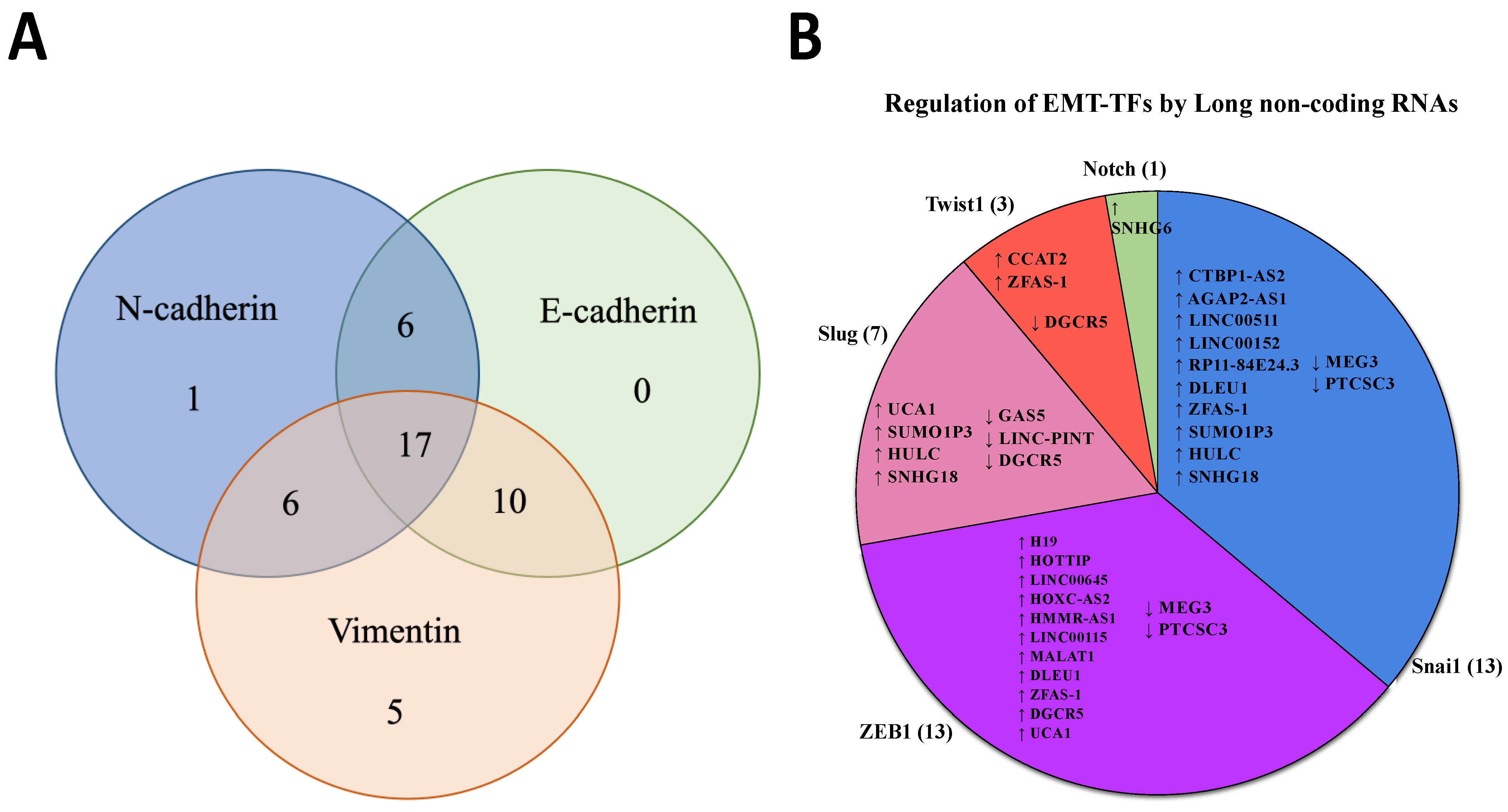 Biology 12 00818 g002 Biology 12 00818 g002
