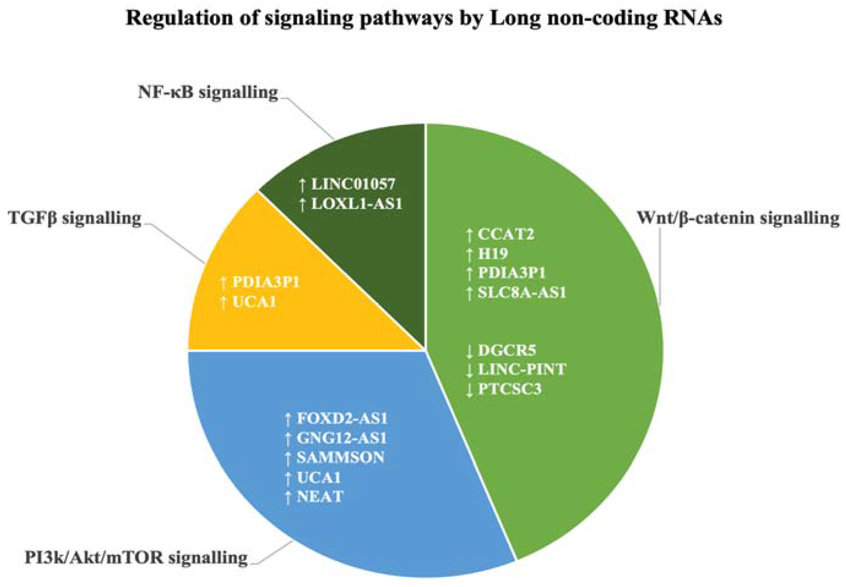 Biology 12 00818 g004 Biology 12 00818 g004
