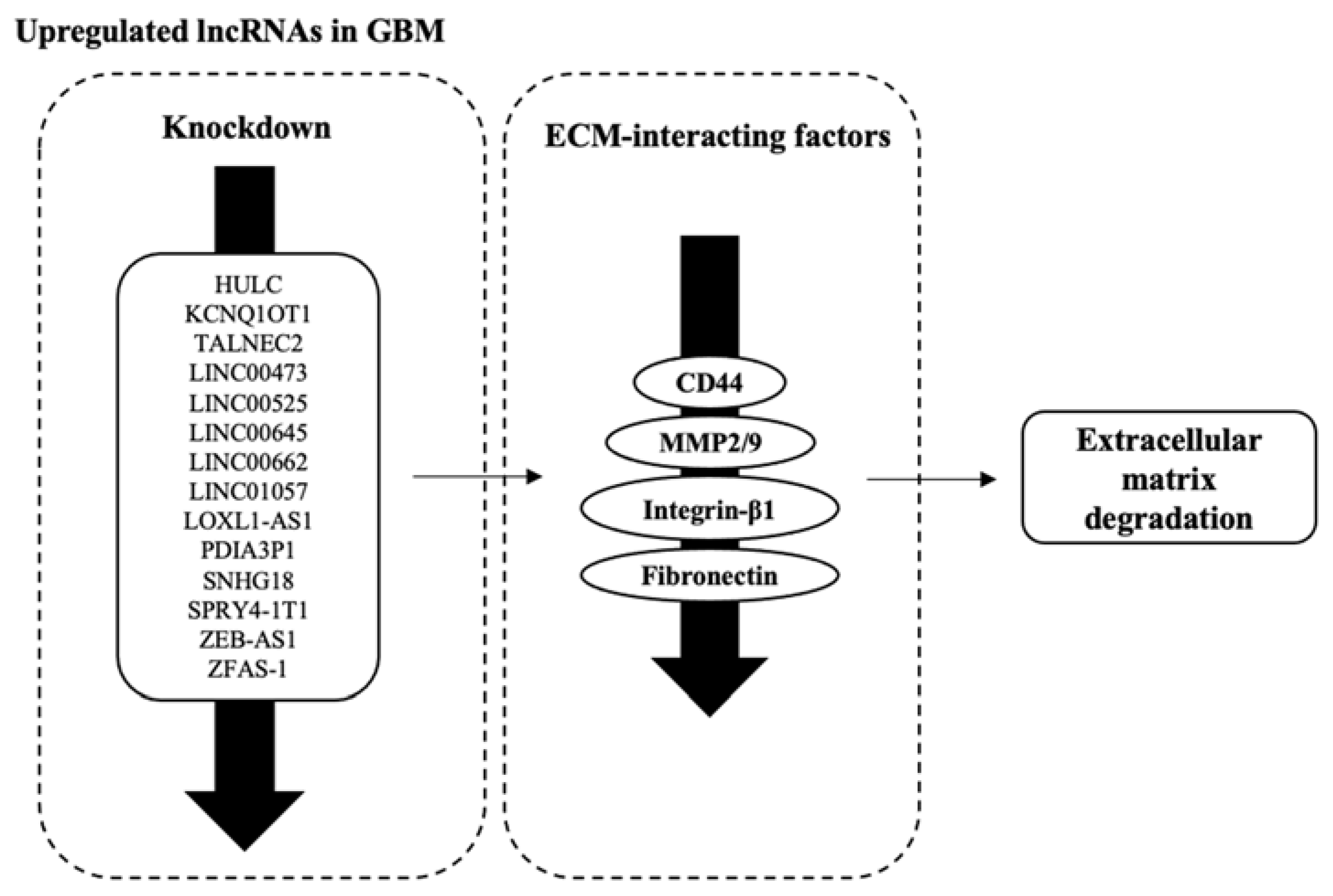 Biology 12 00818 g005 Biology 12 00818 g005