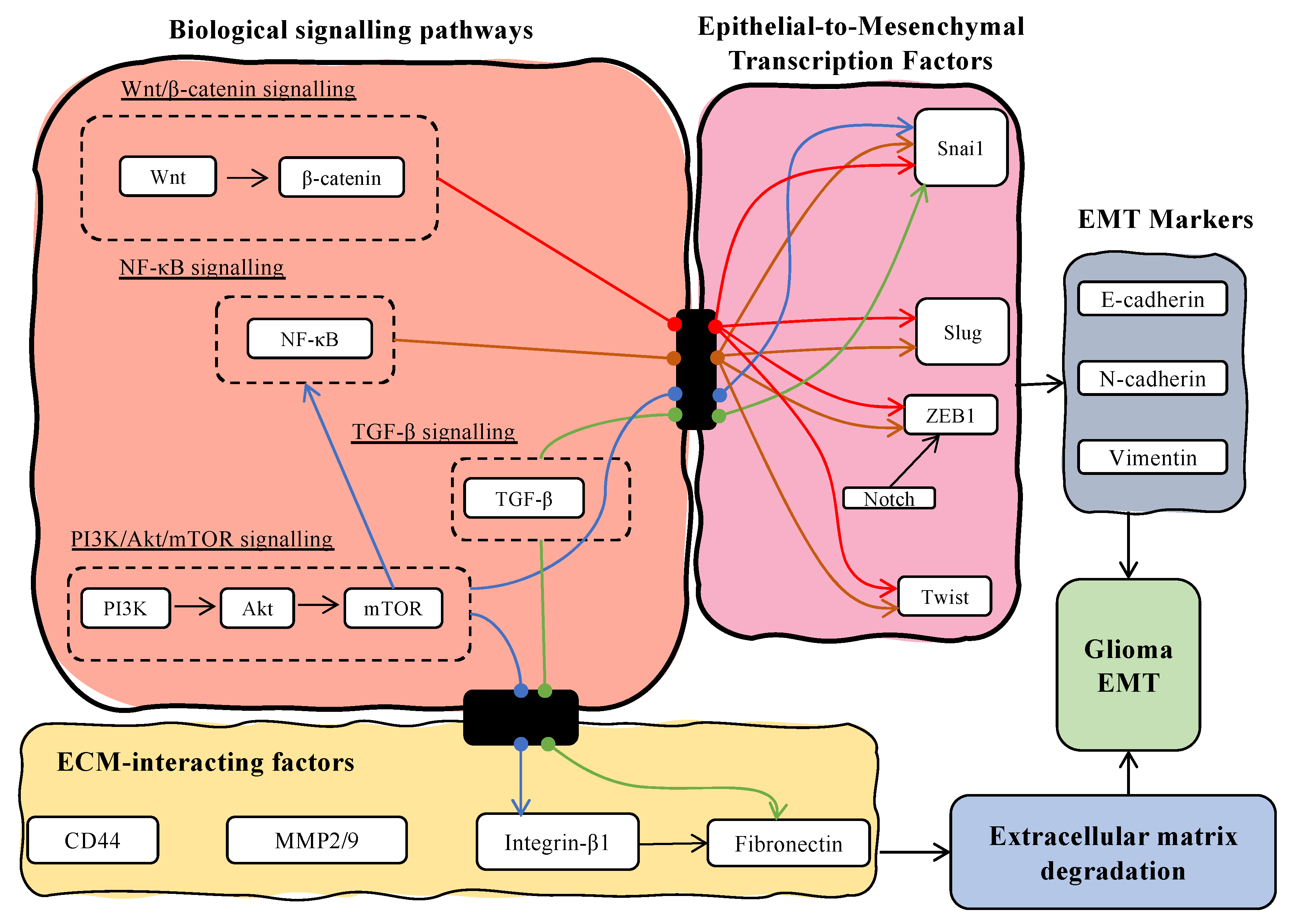 Biology 12 00818 g006 Biology 12 00818 g006