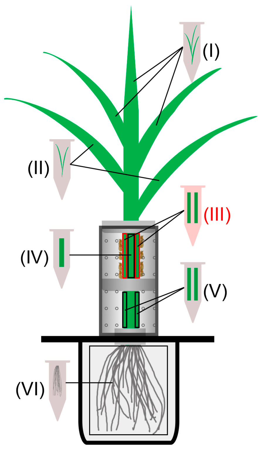 Biology 12 00820 g001