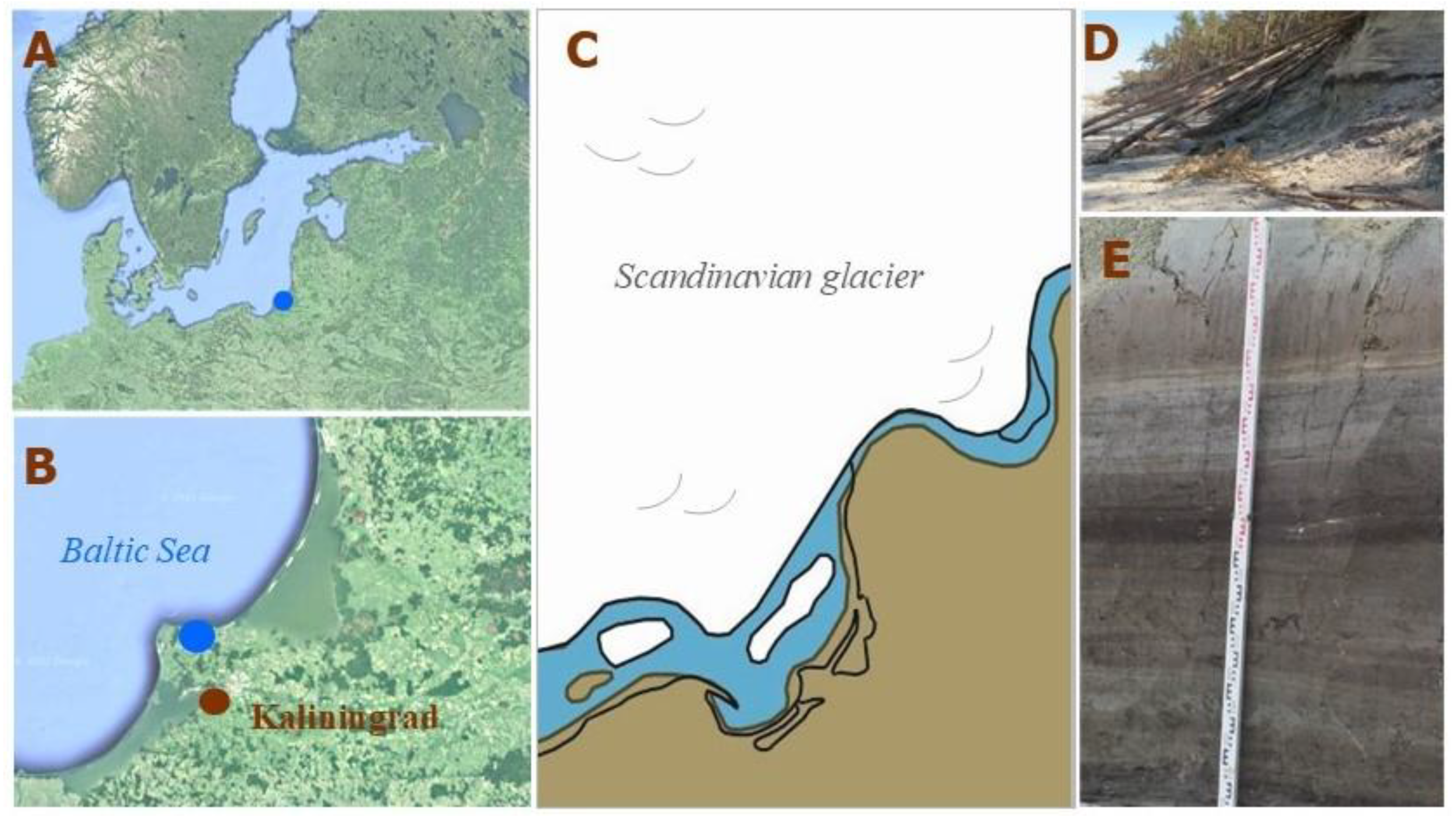 Biology 12 00821 g001