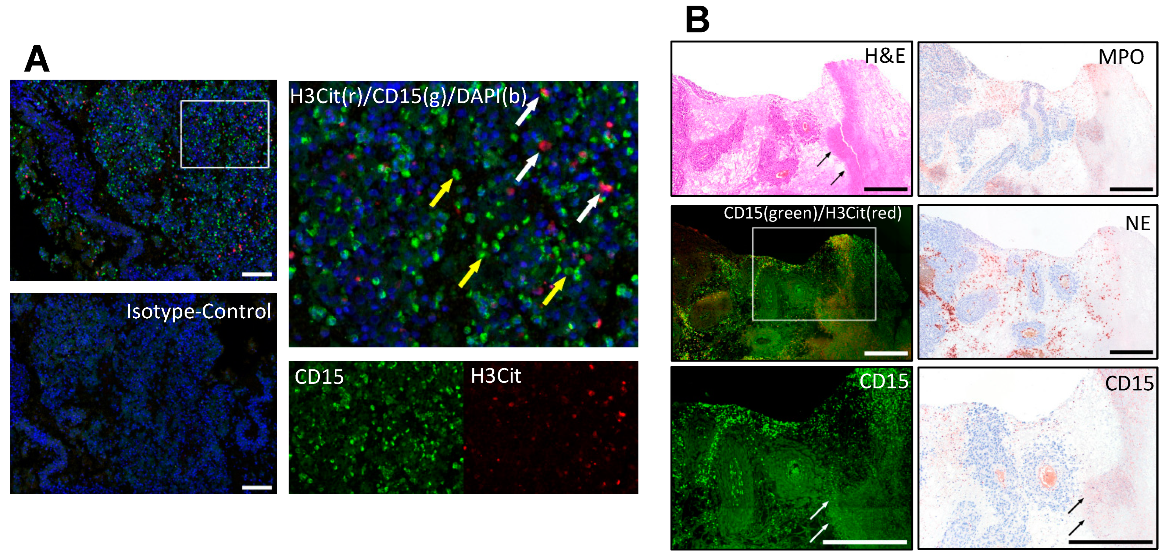 Biology 12 00822 g001 Biology 12 00822 g001