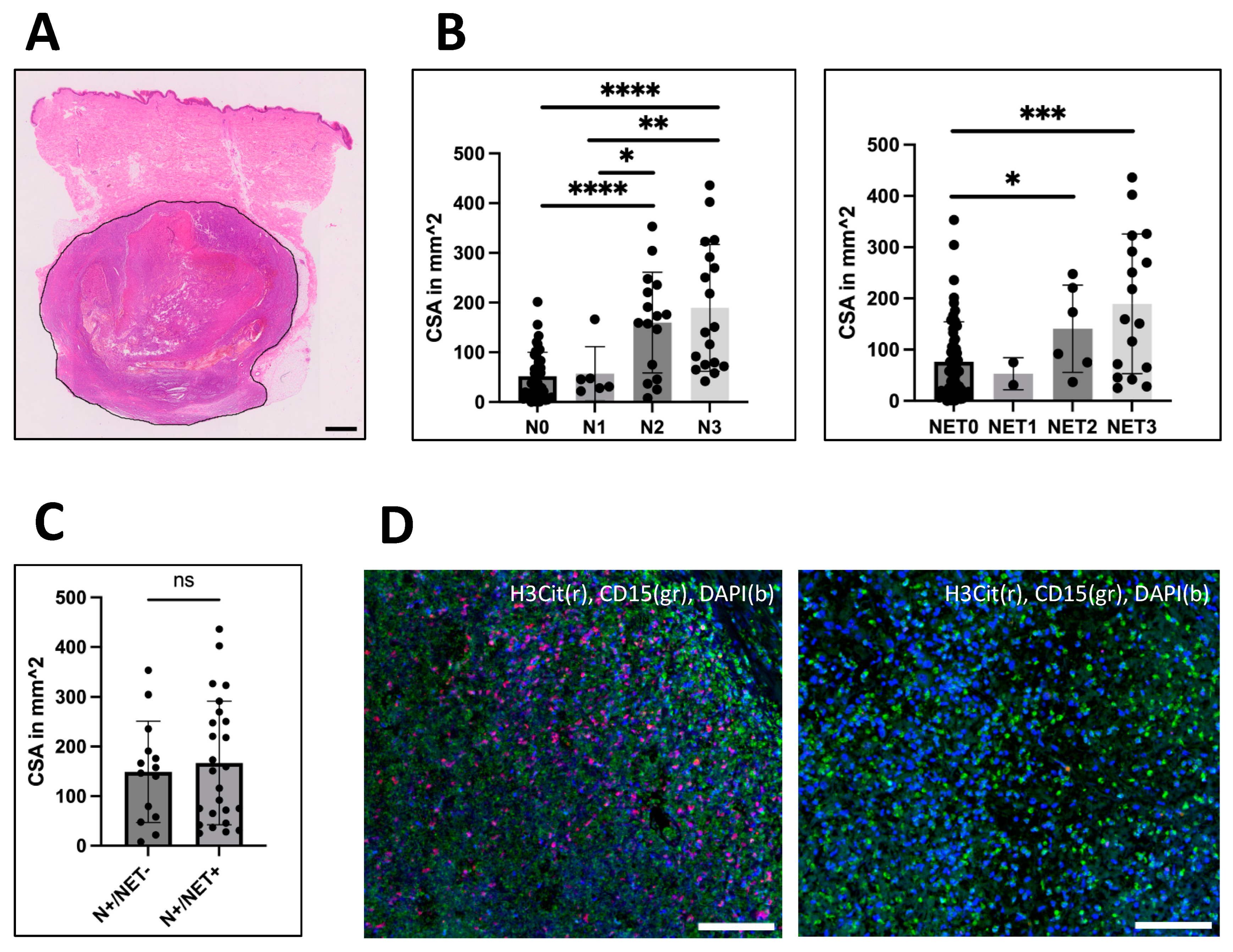 Biology 12 00822 g002 Biology 12 00822 g002