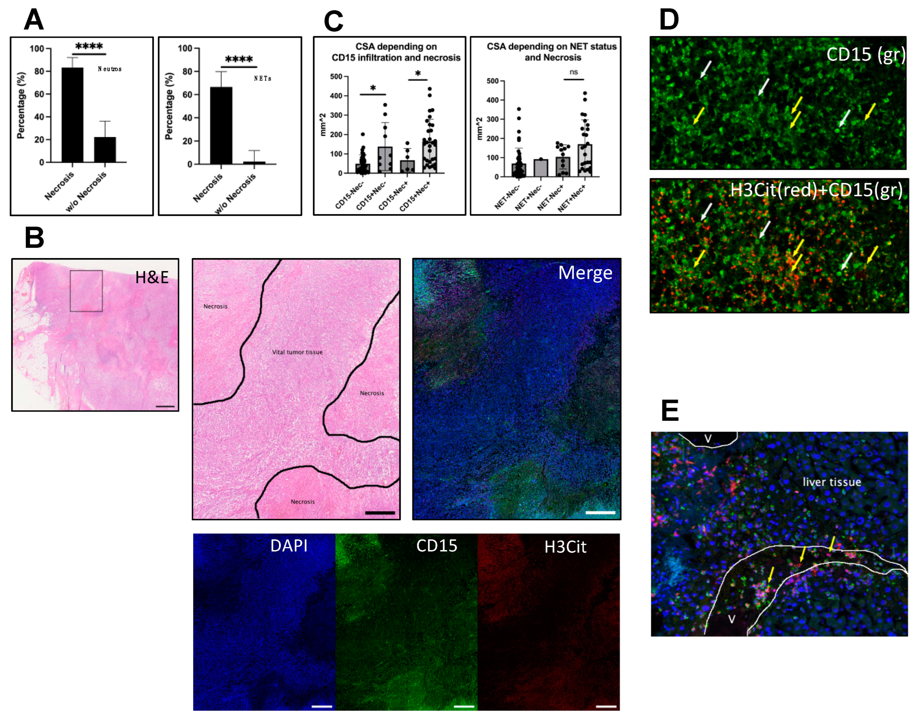 Biology 12 00822 g003 Biology 12 00822 g003