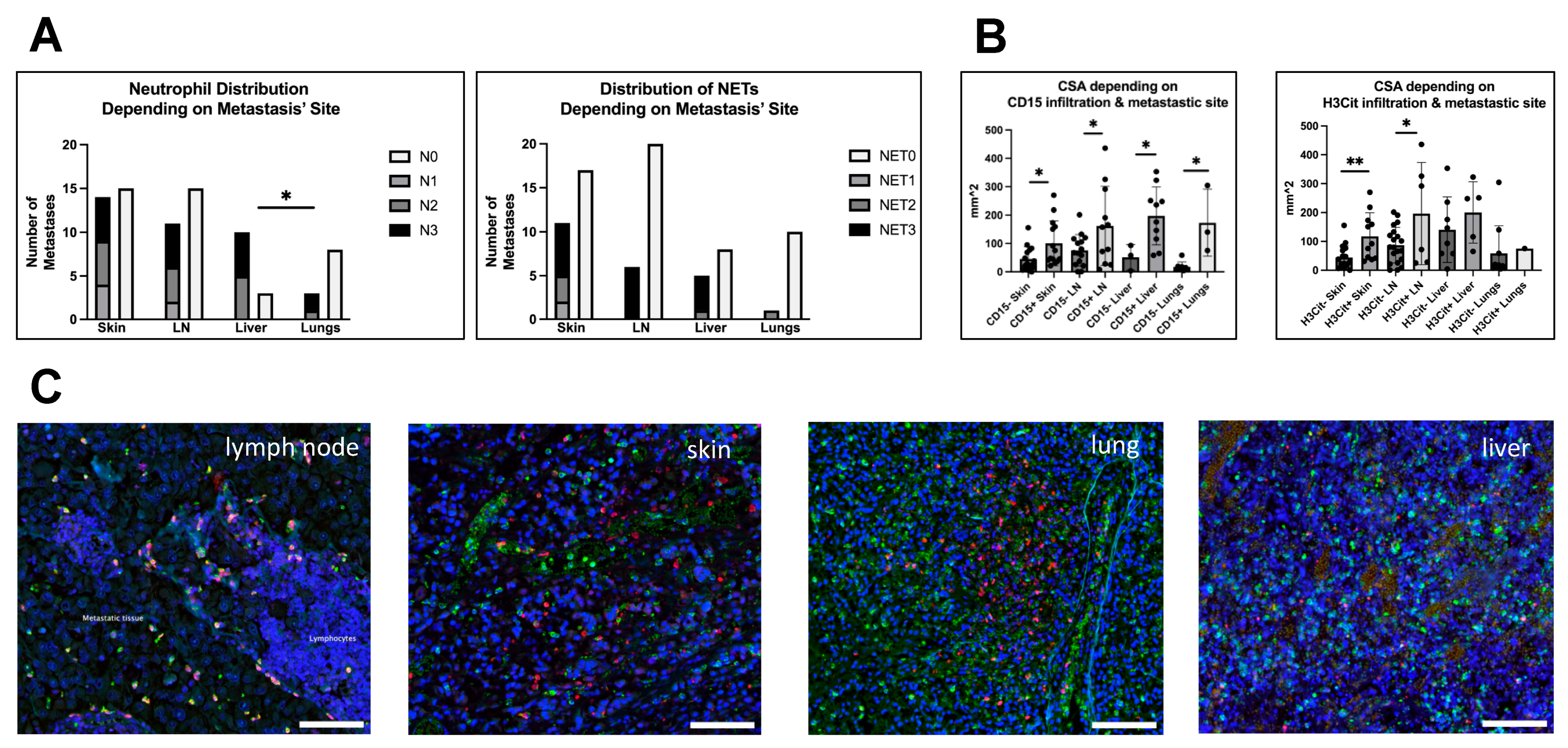 Biology 12 00822 g005 Biology 12 00822 g005