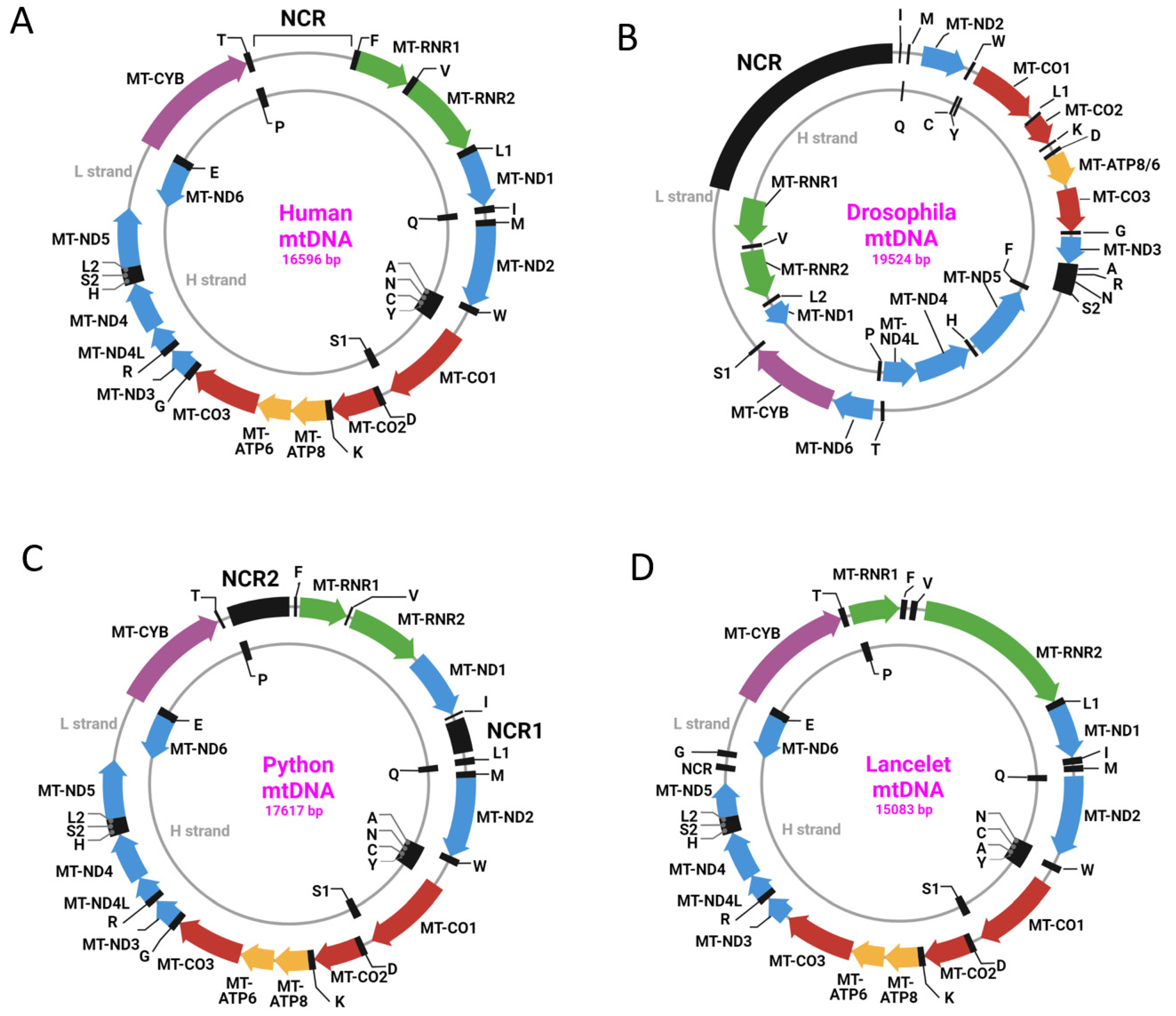Biology 12 00823 g001 Biology 12 00823 g001