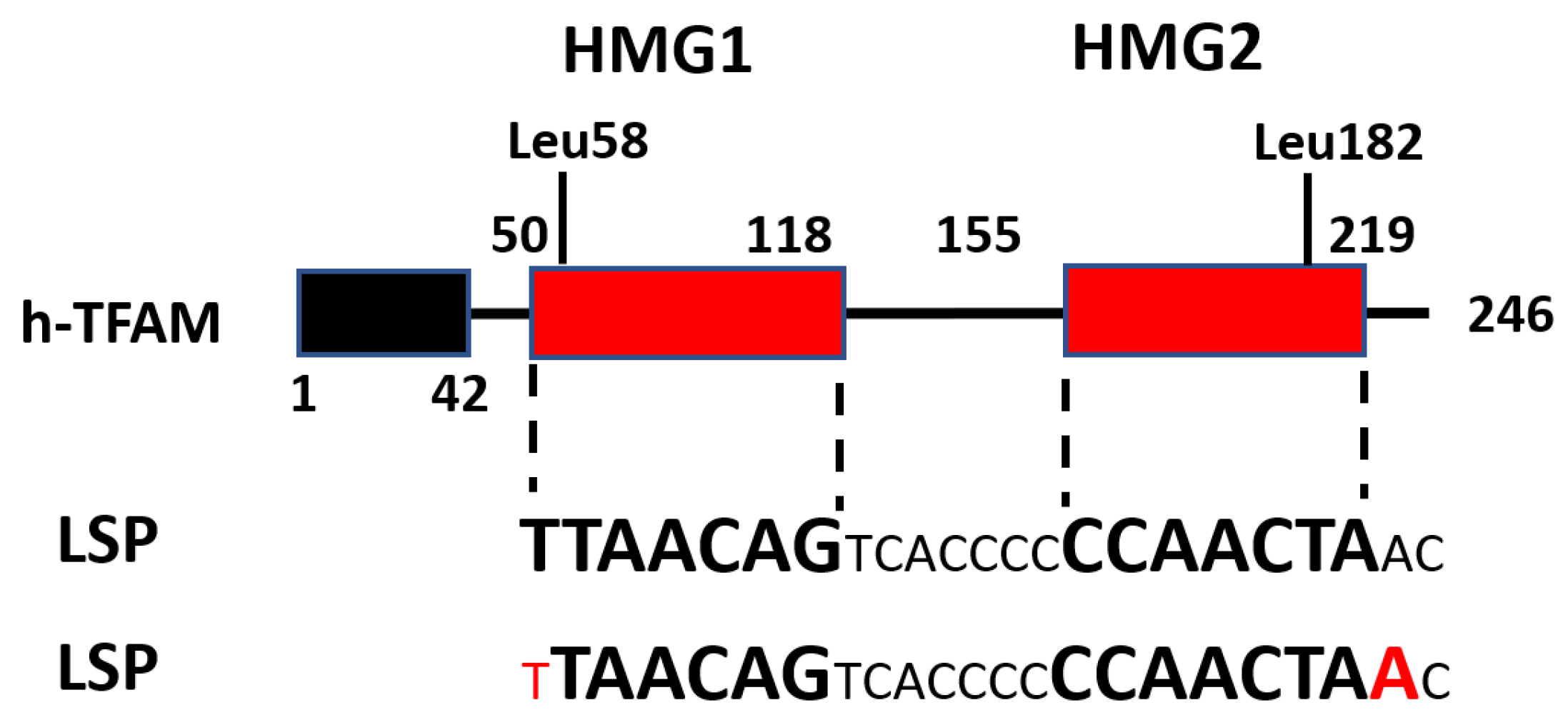 Biology 12 00823 g003 Biology 12 00823 g003