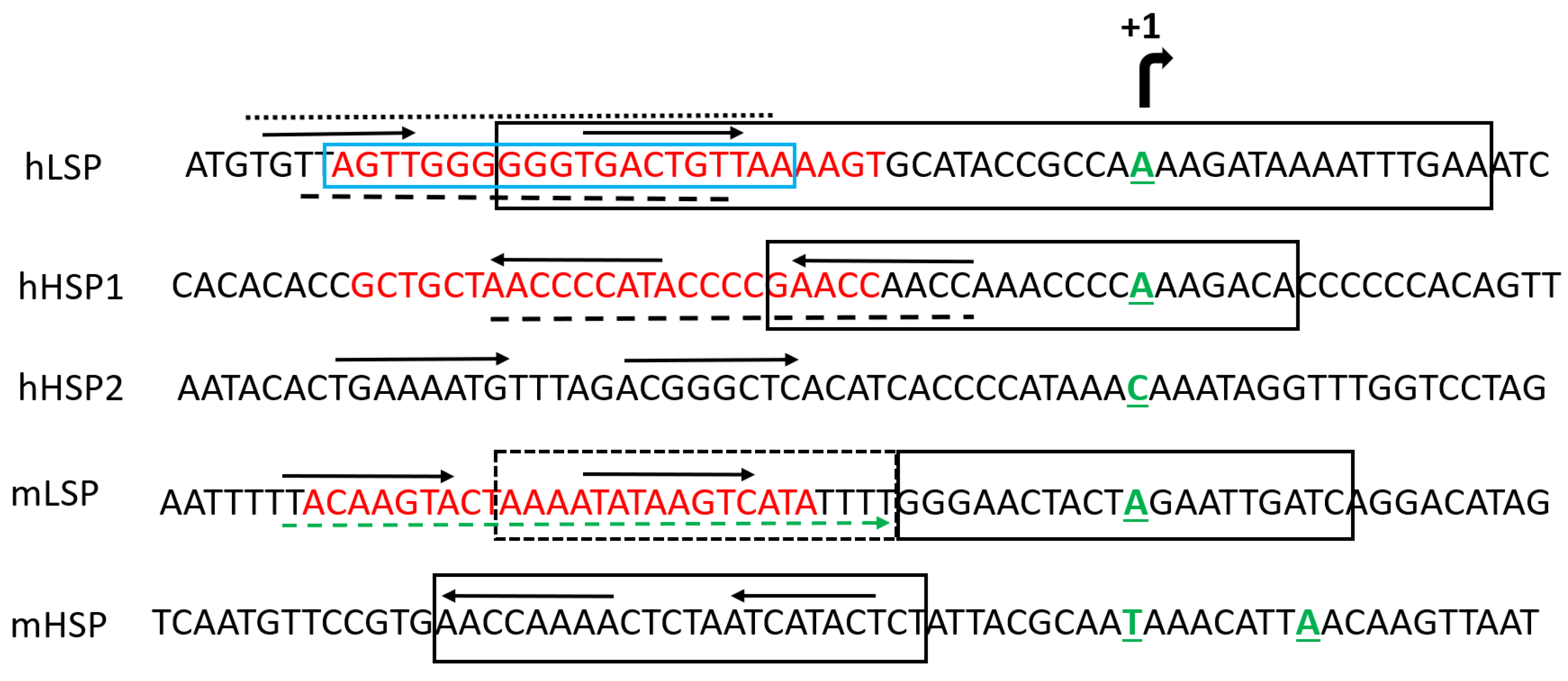 Biology 12 00823 g004 Biology 12 00823 g004