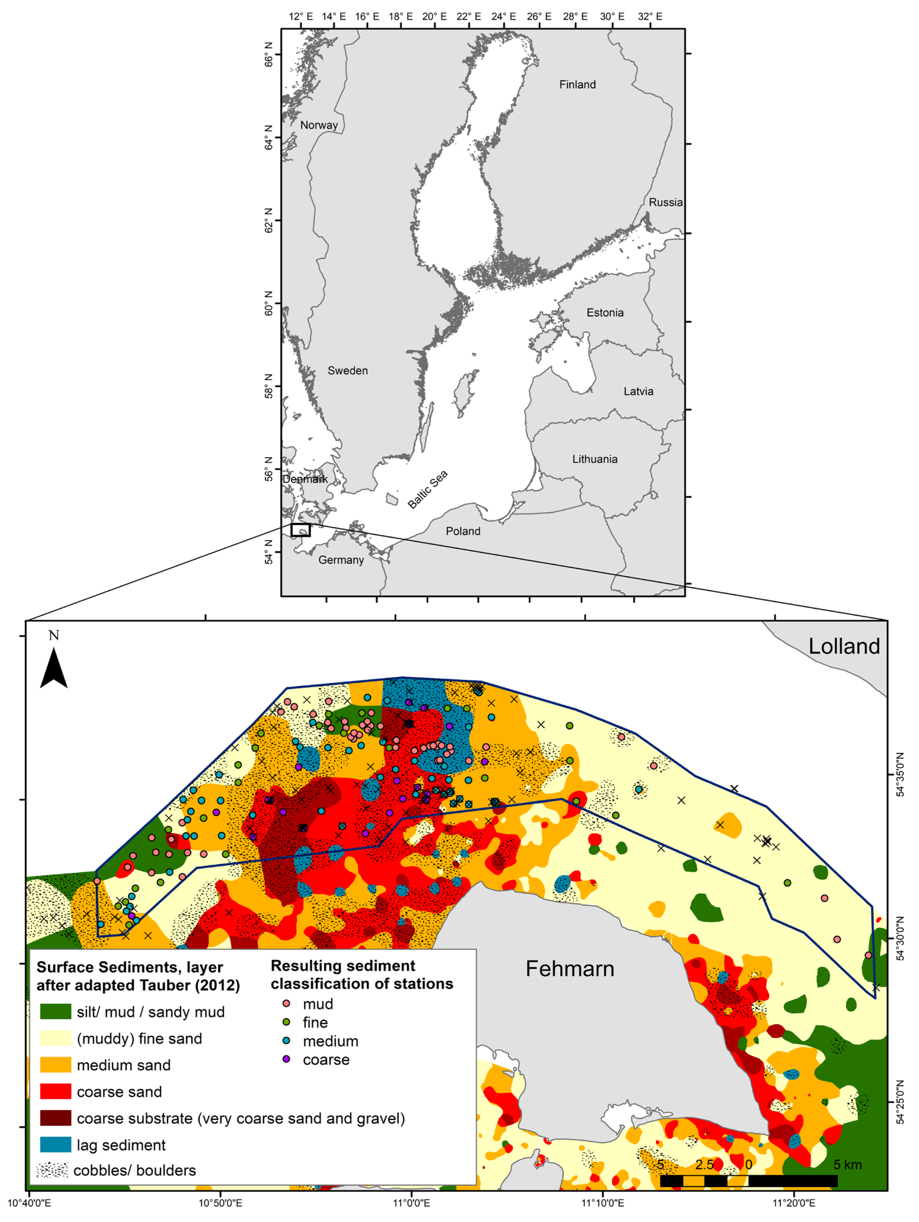 Biology 12 00825 g001