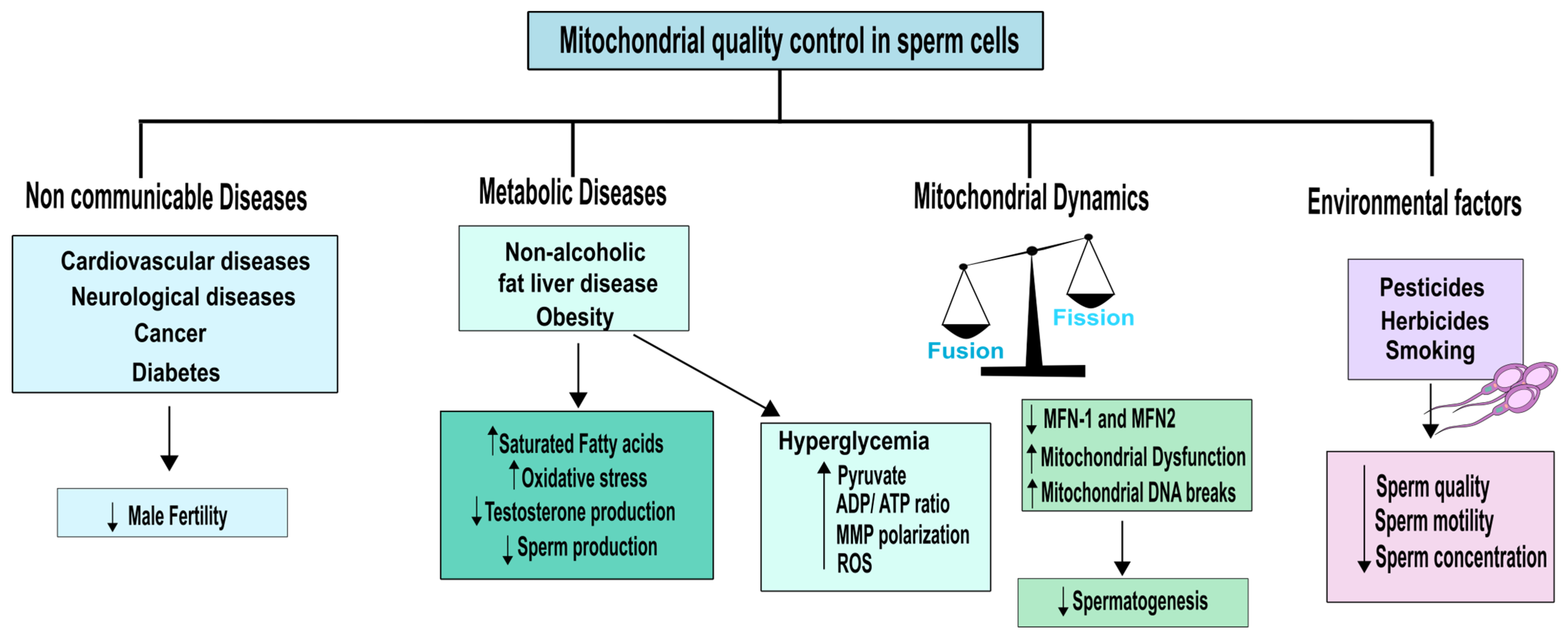 Biology 12 00827 g003 Biology 12 00827 g003