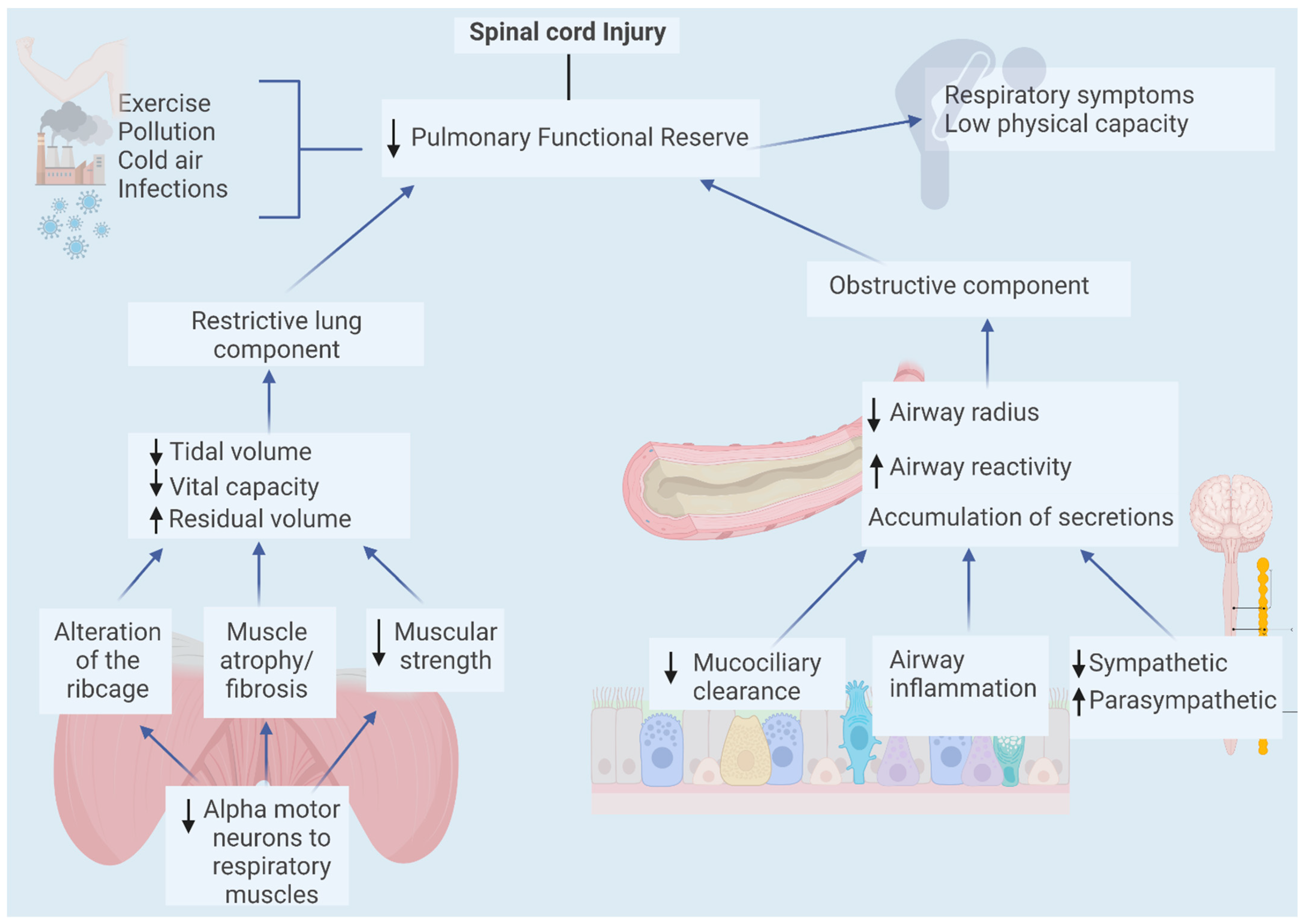 Biology 12 00828 g001 Biology 12 00828 g001