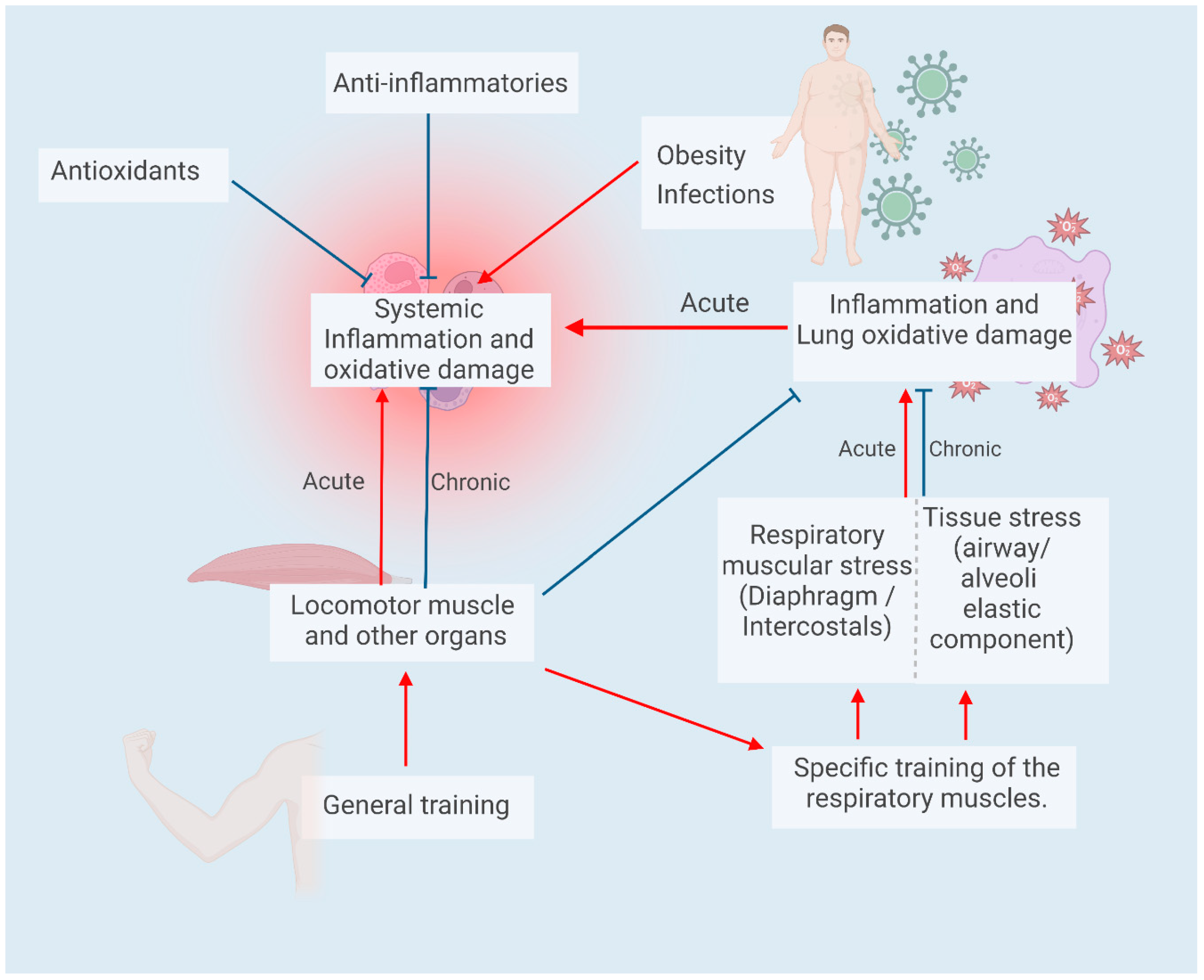 Biology 12 00828 g003 Biology 12 00828 g003