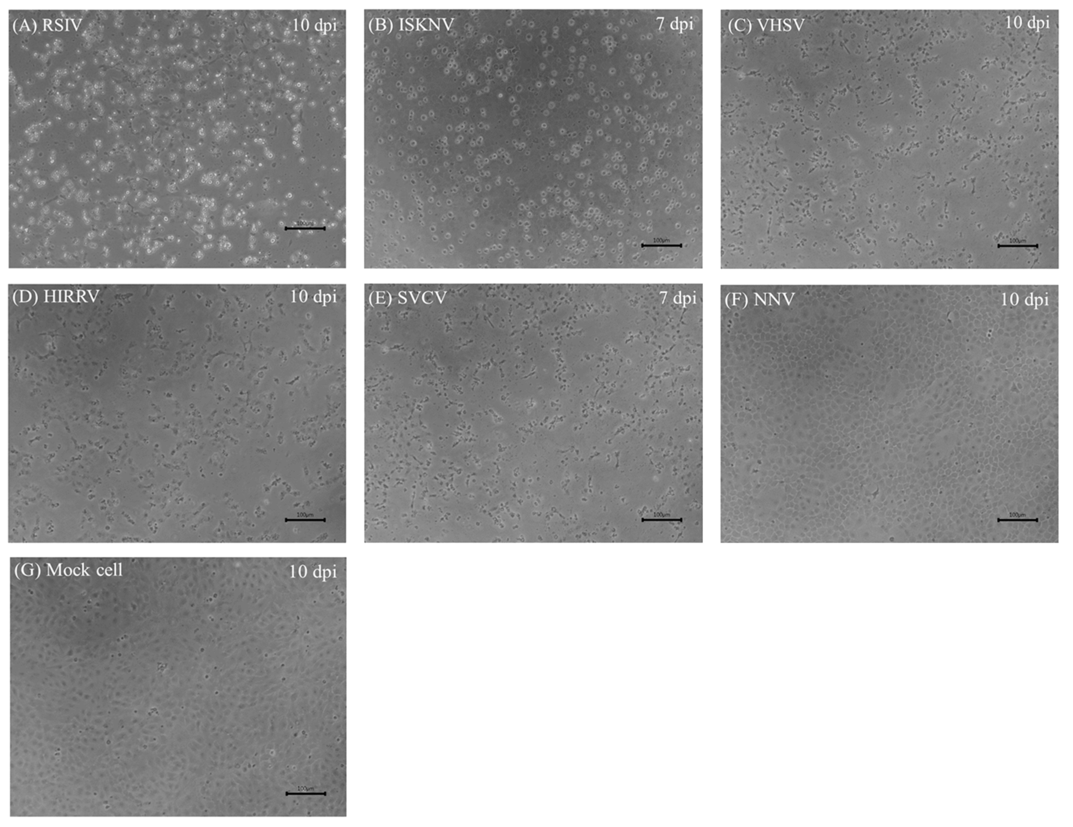 Biology 12 00829 g006
