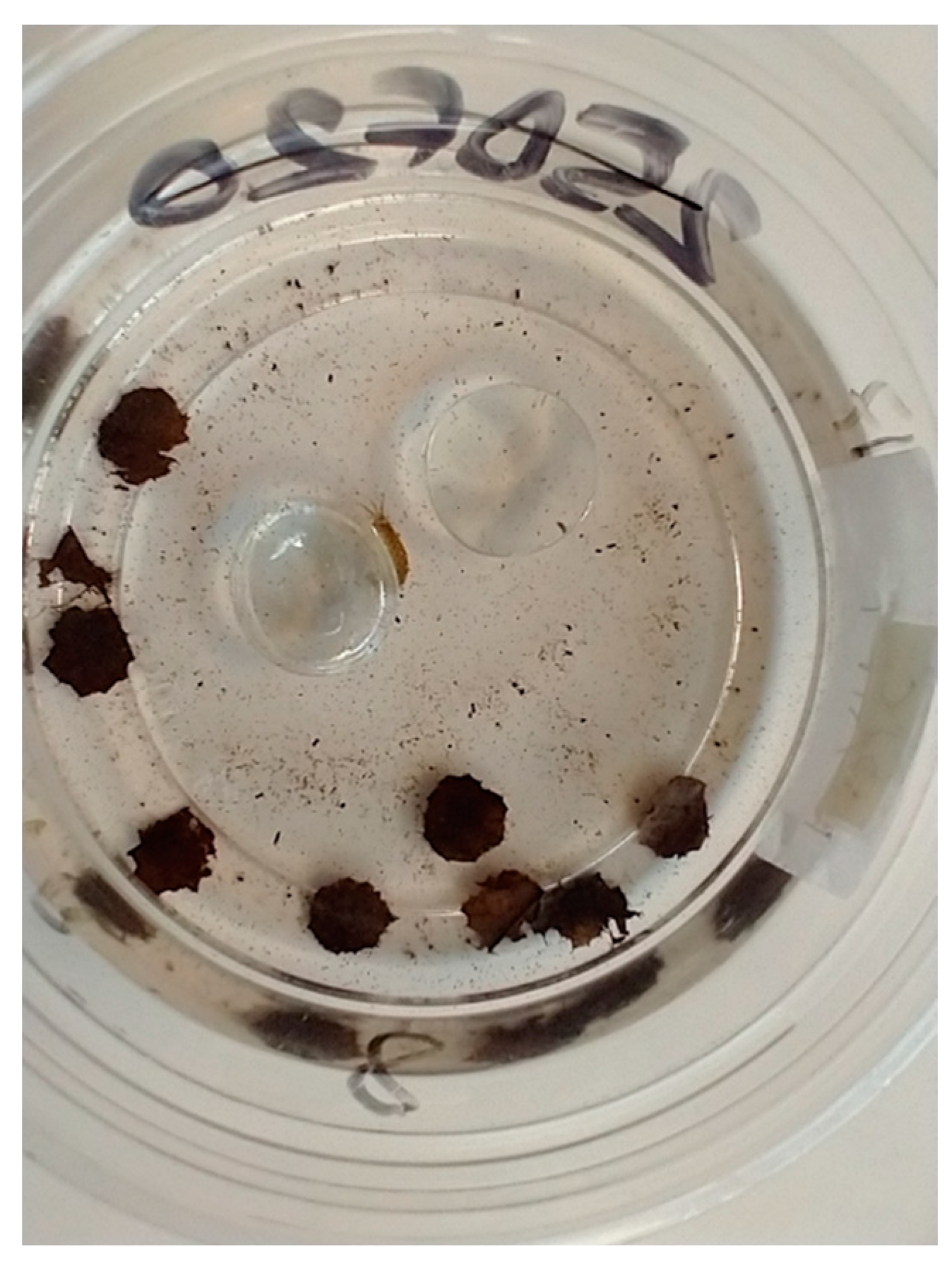 Biology 12 00830 g002 Biology 12 00830 g002