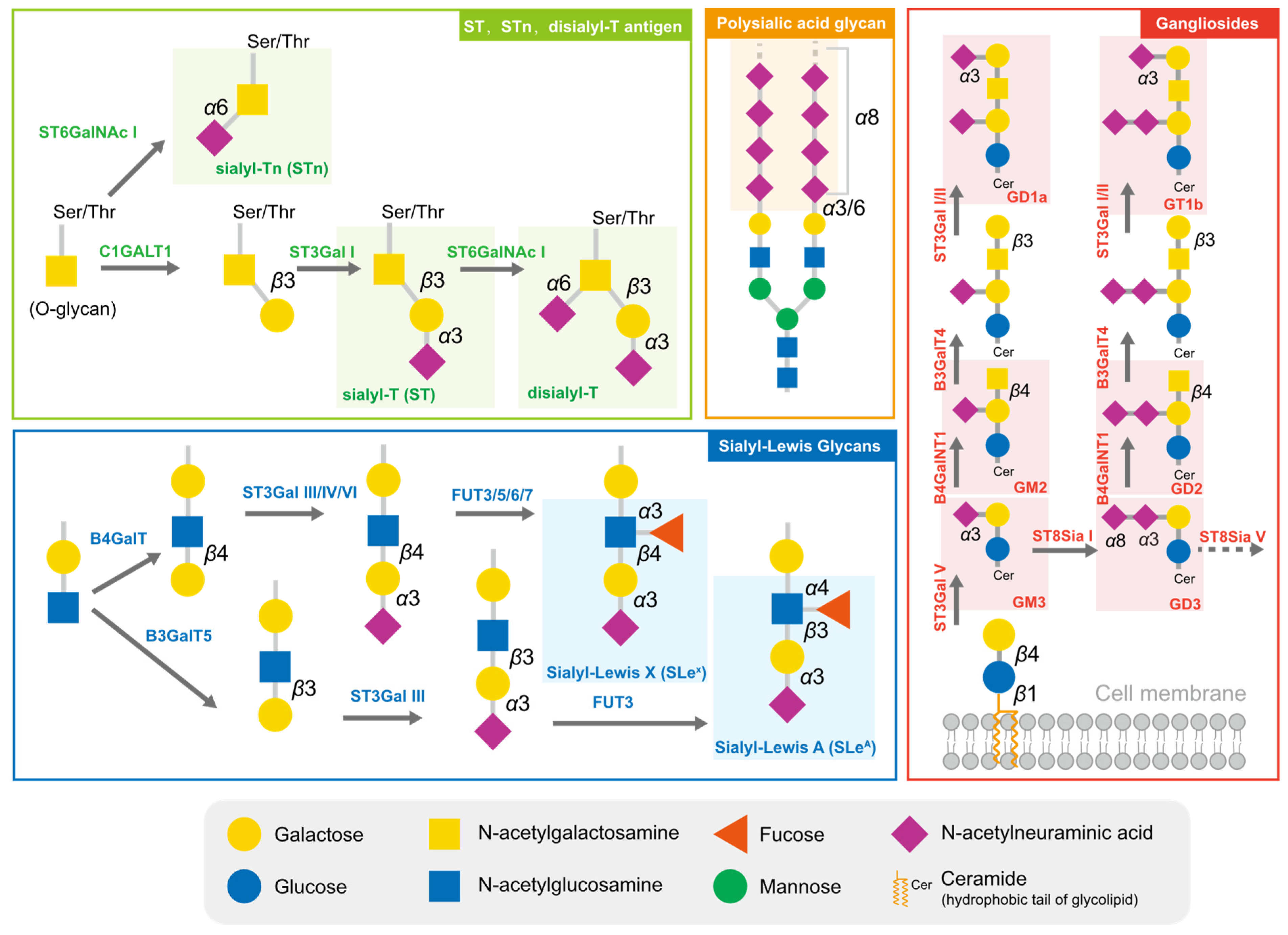 Biology 12 00832 g001