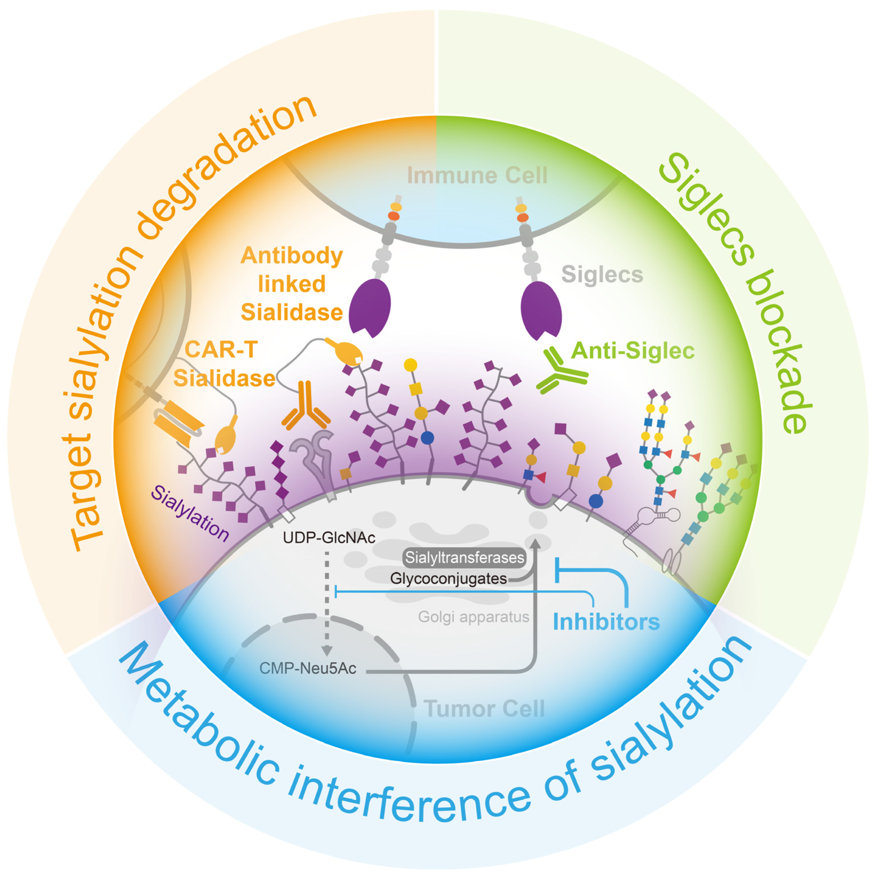 Biology 12 00832 g005