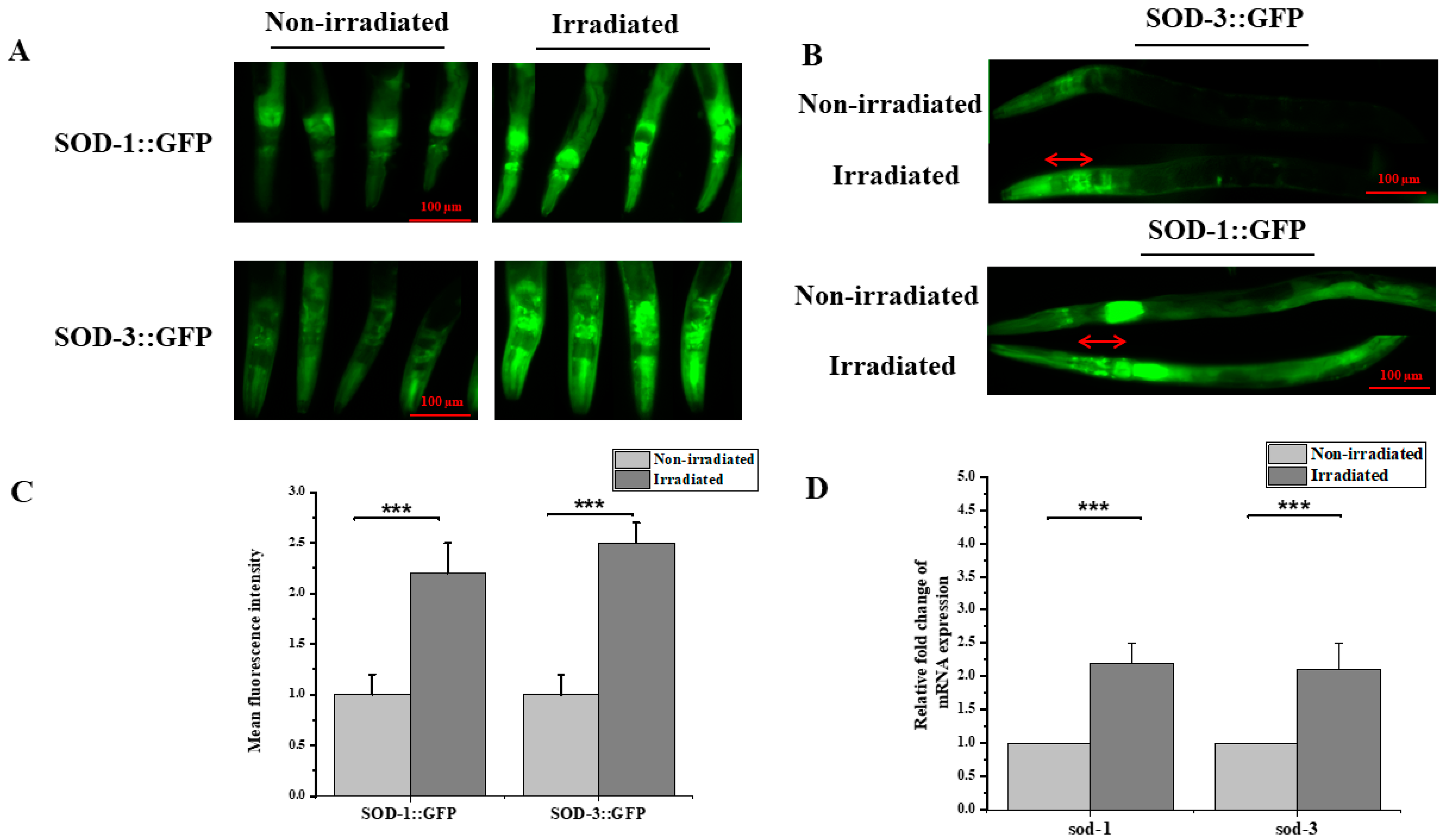 Biology 12 00839 g002 Biology 12 00839 g002