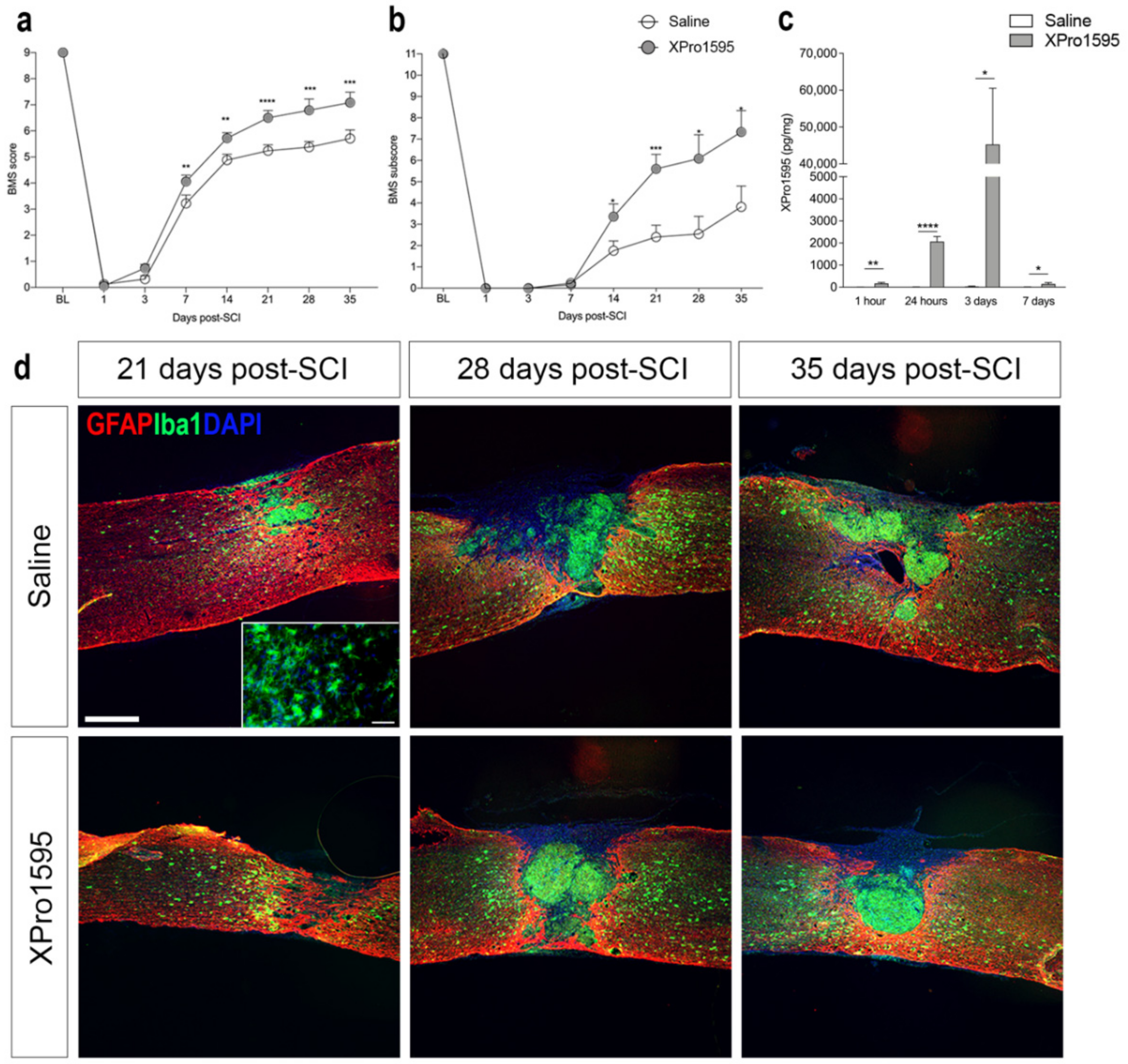 Biology 12 00845 g001 Biology 12 00845 g001