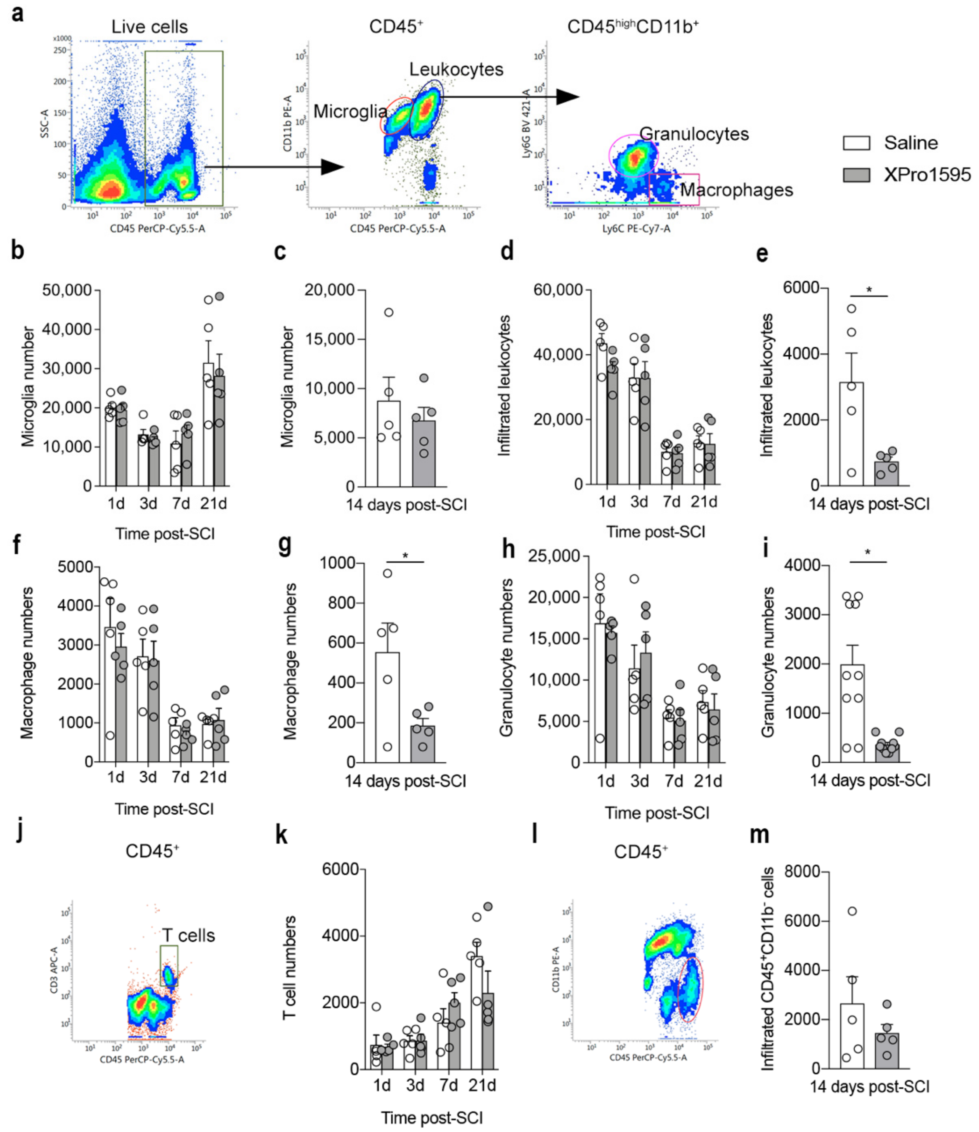 Biology 12 00845 g005 Biology 12 00845 g005