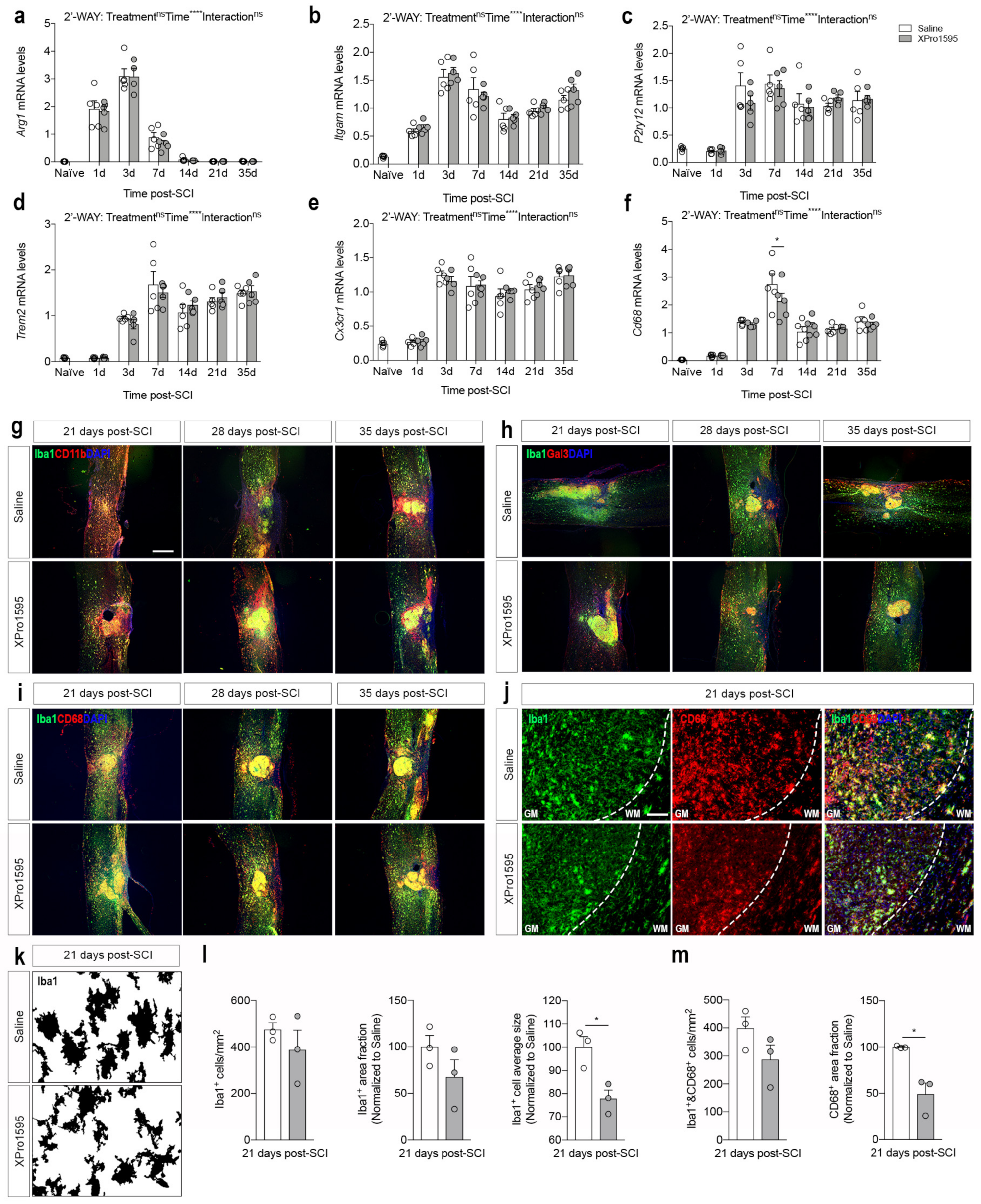 Biology 12 00845 g006 Biology 12 00845 g006