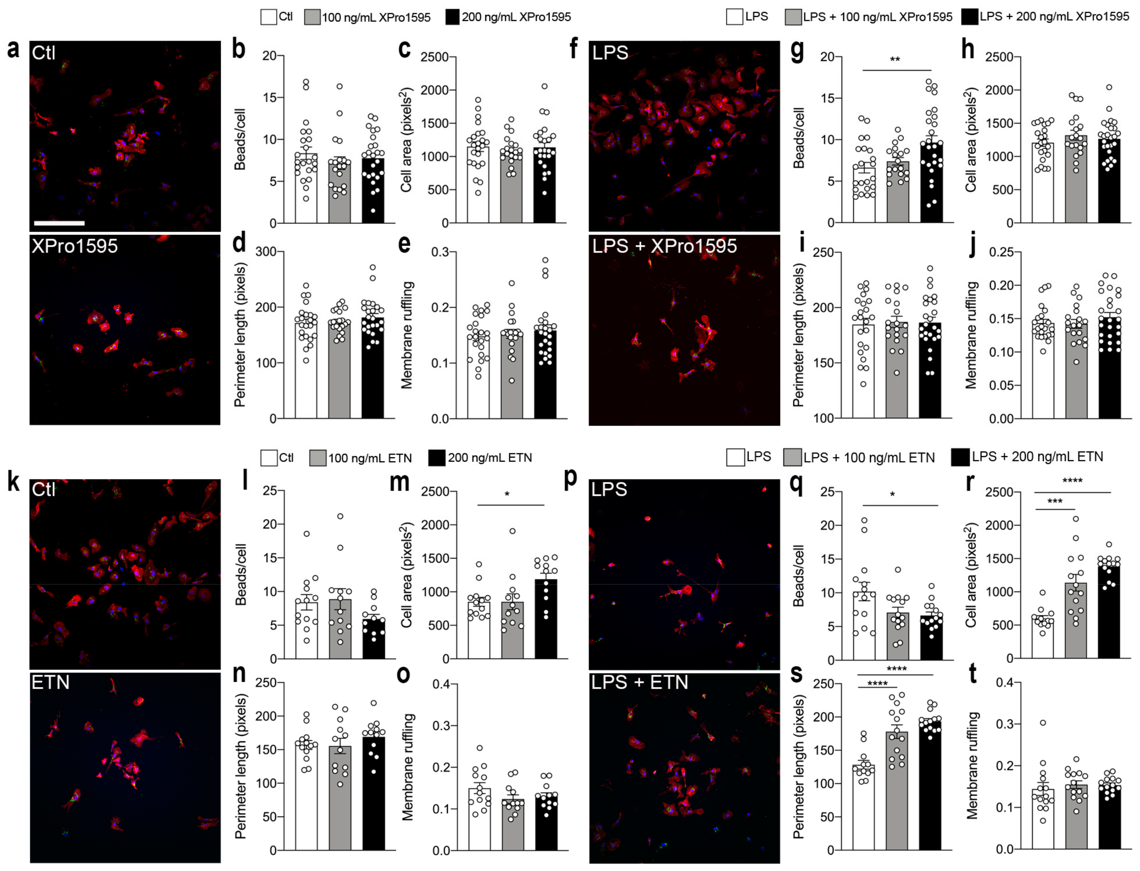 Biology 12 00845 g007 Biology 12 00845 g007