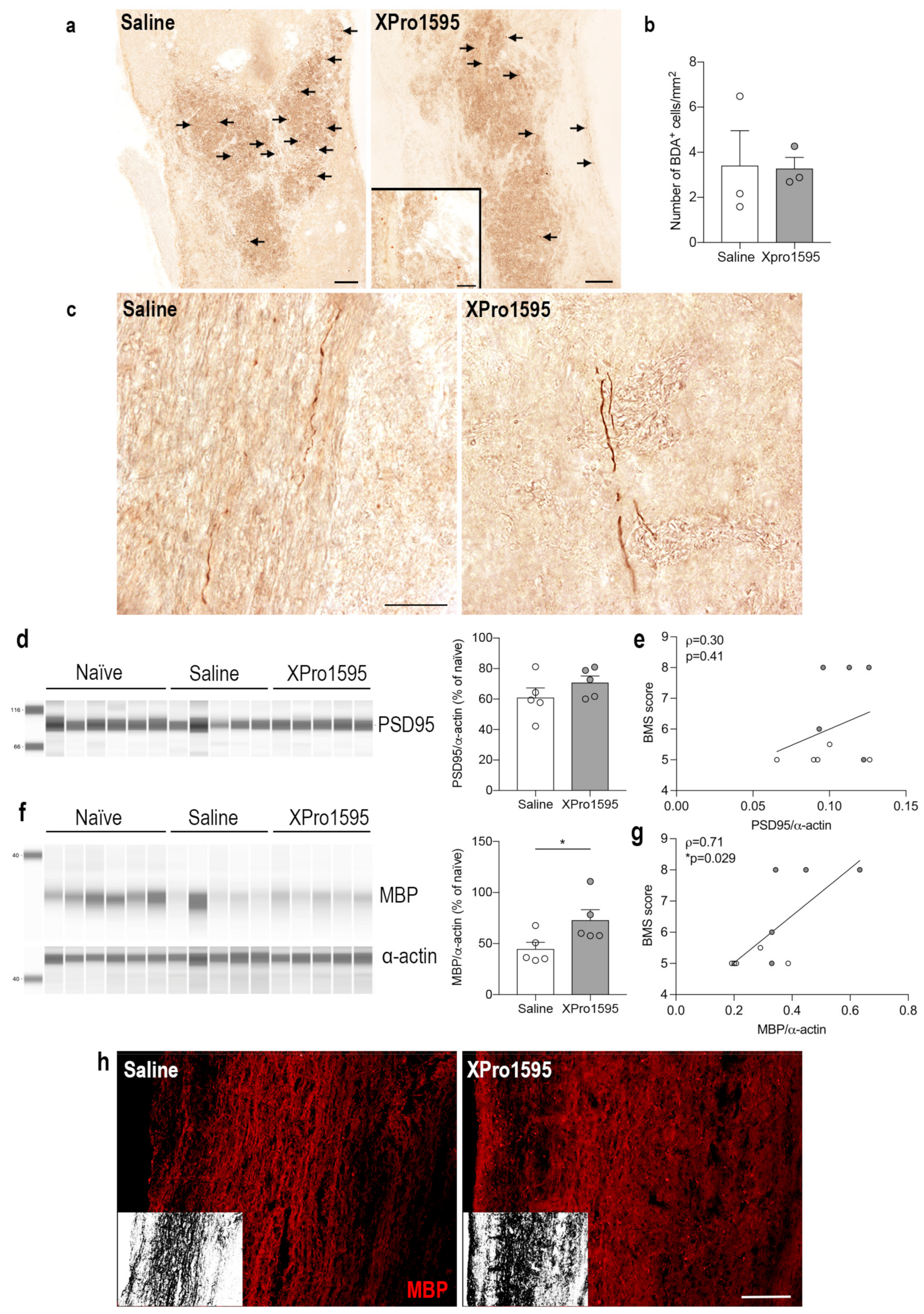 Biology 12 00845 g008 Biology 12 00845 g008