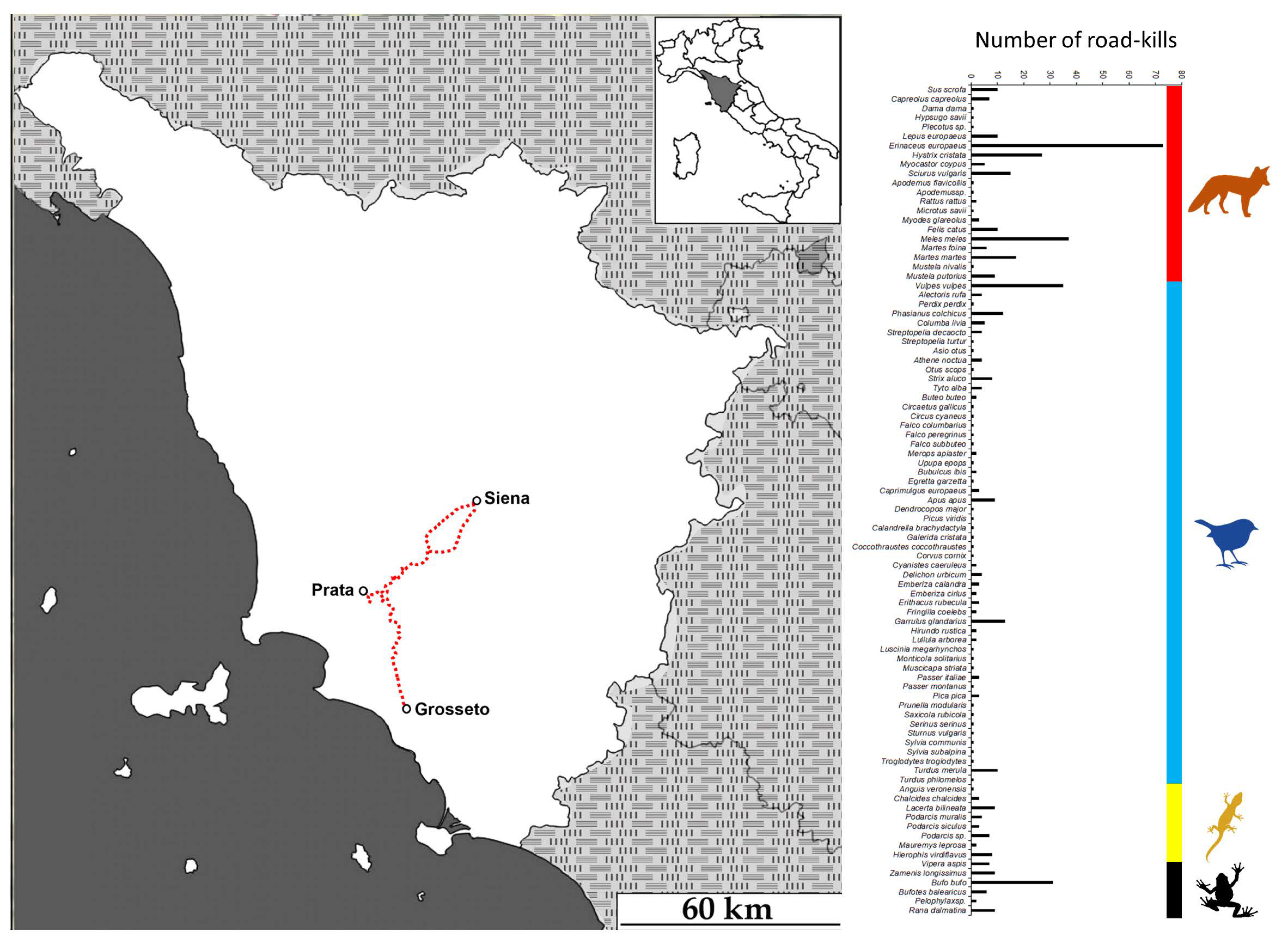 Biology 12 00850 g001